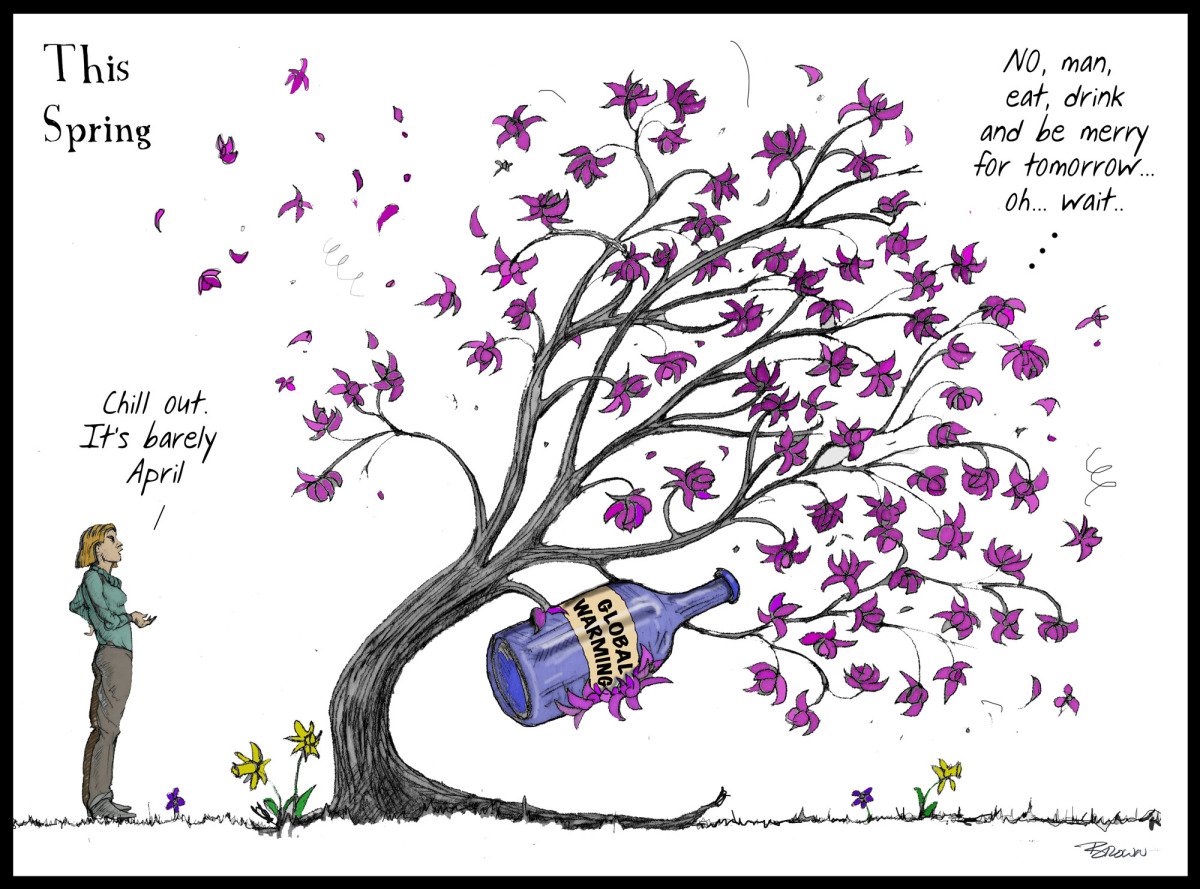 A cartoon drawing of a cherry blossom tree with pink flowers, a woman standing beside it saying 'Chill out. It’s barely April,' and a bottle labeled 'Global Warming' hanging from one of the branches. The tree is shedding petals, and there is a though