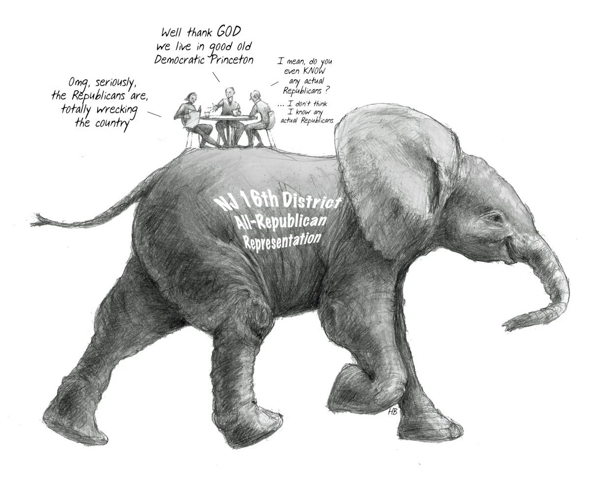 A drawing of an elephant with an overlay text 'NJ 16th District All-Republican Representation' and three people sitting at a table on its back, having a discussion with speech bubbles criticizing Republicans.