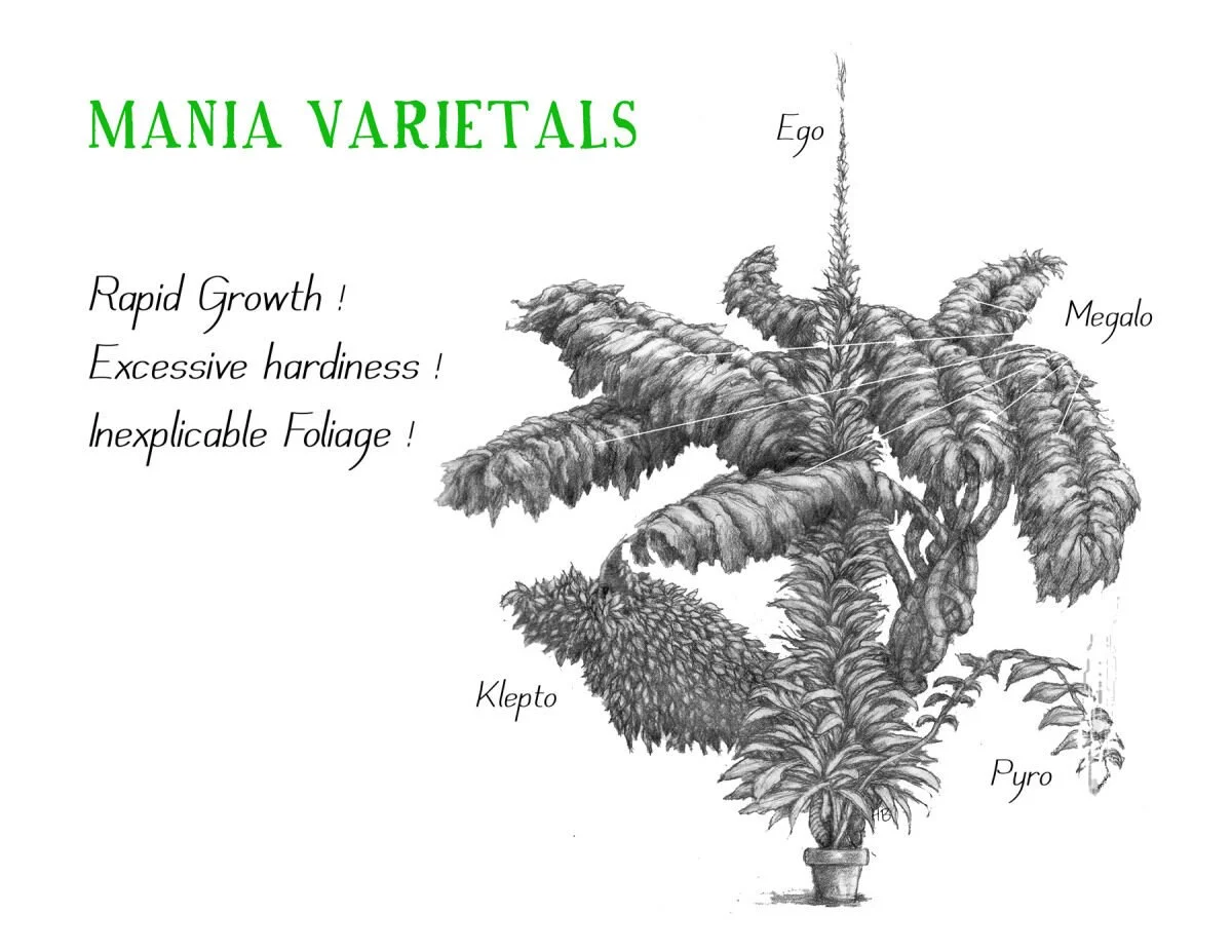 Black and white illustration of a potted plant with labeled parts: Ego at the top, Megalo to the right, Pyro at the bottom, Klepto at the lower left, and the plant's large, wrinkled leaves. Text on the left reads "MANIA VARIETALS" in green, with addi