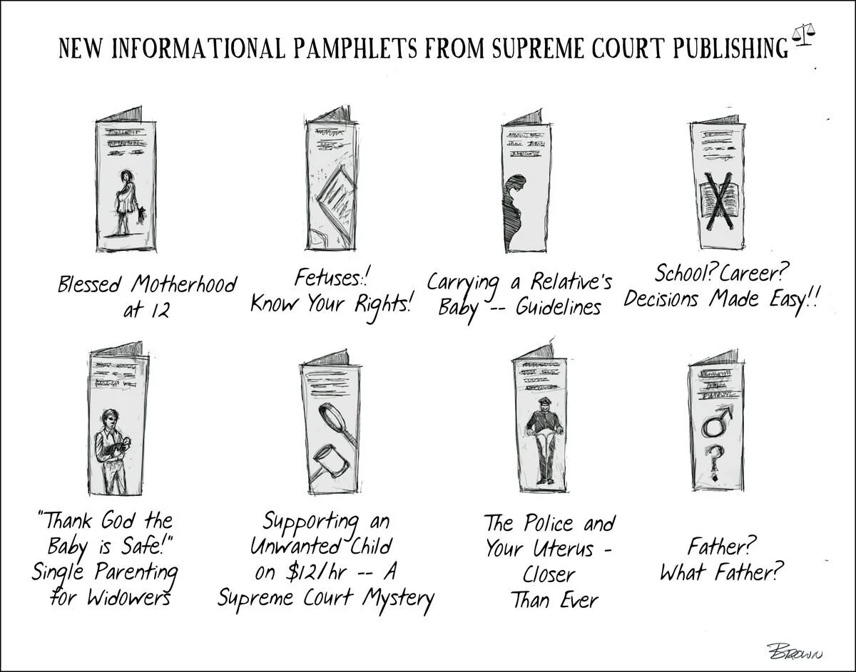A comic-style illustration of eight pamphlets with titles related to motherhood, rights, parenting, school, custody, and gender issues, each with a handwritten note beneath.