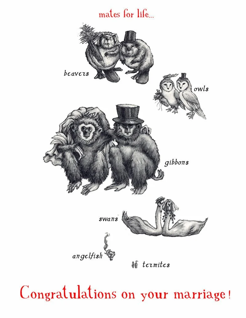 A wedding card with illustrations of animals dressed in wedding attire. Birds labeled 'owls', bears labeled 'beavers', gibbons, swans, angelfish, and termites. The top says 'mates for life...' and the bottom says 'Congratulations on your marriage!'
