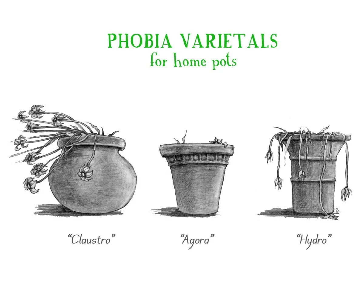 Sketch of three different planters labeled 'Claustro', 'Agora', and 'Hydro', with legible handwritten titles and decorative plant illustrations.