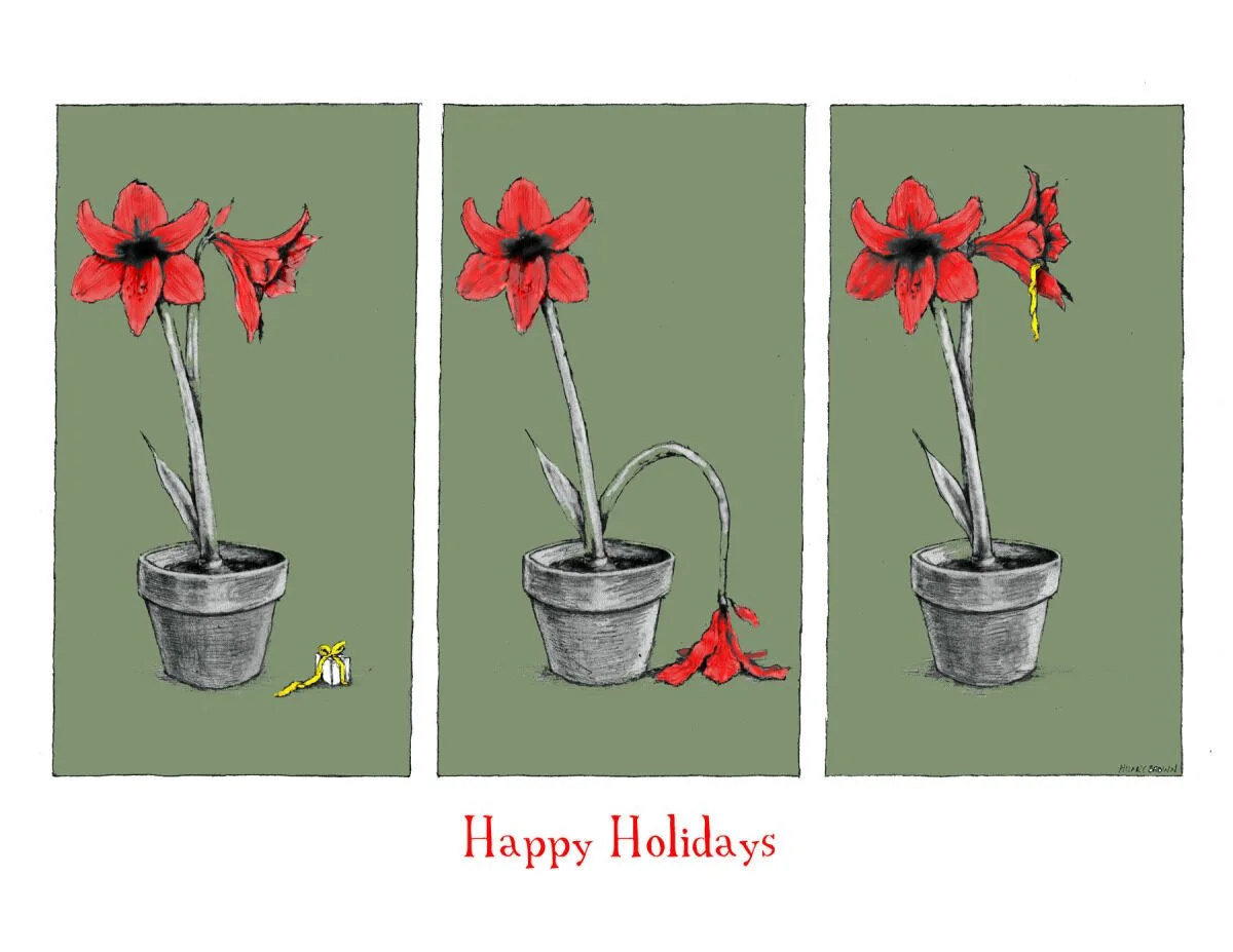 A three-panel illustration of a red amaryllis flower in a pot, showing its stages of decay, with a yellow ribbon tied around its stem in the final panel, and the words "Happy Holidays" written in red below.
