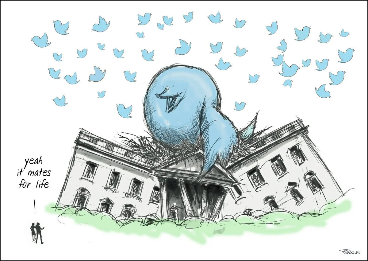 A cartoon drawing of a blue bird sitting on top of a leaning, damaged mansion with many broken windows. The bird appears humorous and is looking down. Two small figures in the bottom left are saying, 'yeah it mates for life.'