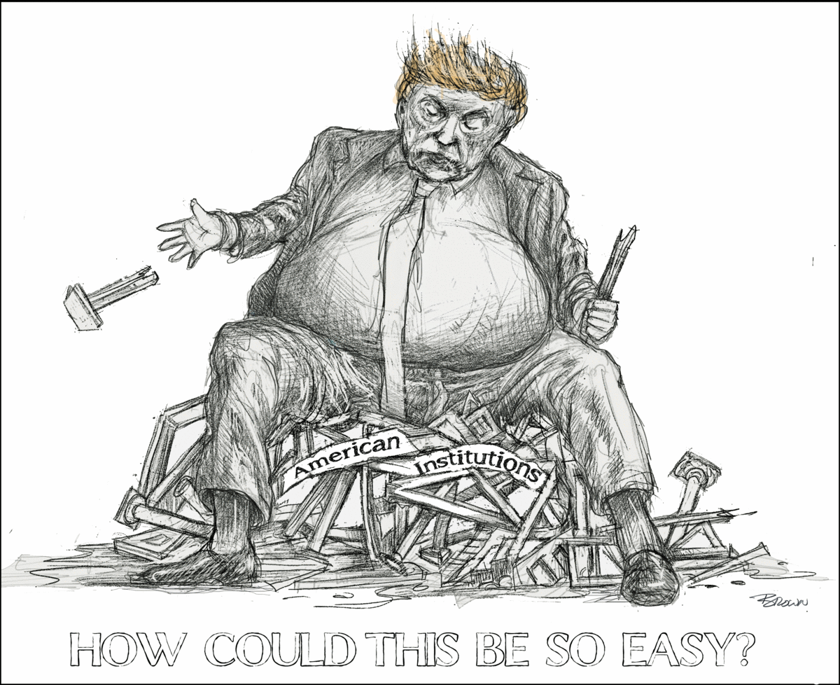 A political cartoon depicting Donald Trump with disheveled hair, sitting amidst broken wooden structures labeled "American Institutions". He has a stern expression and is holding a hammer and a plank, with a hammer falling on his foot. The caption re