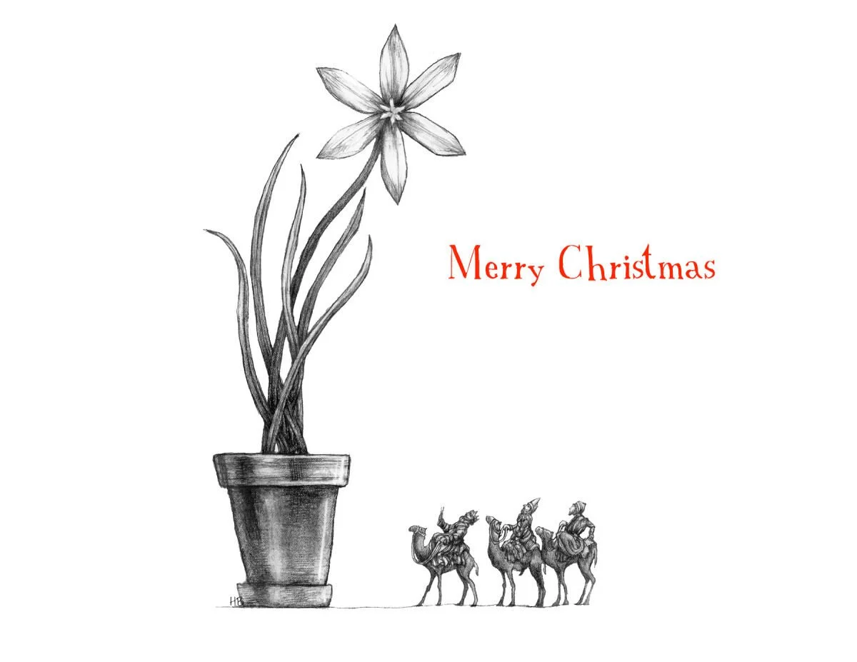 A black and white drawing of a potted plant with a large flower, accompanied by three camels carrying people, and the text 'Merry Christmas' in red.