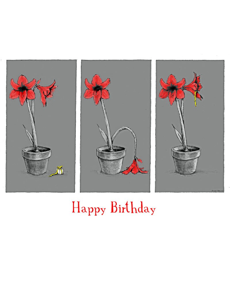 Three-panel cartoon of a red flower in a pot, with the flower wilting and recovering, and a birthday message reading 'Happy Birthday'.