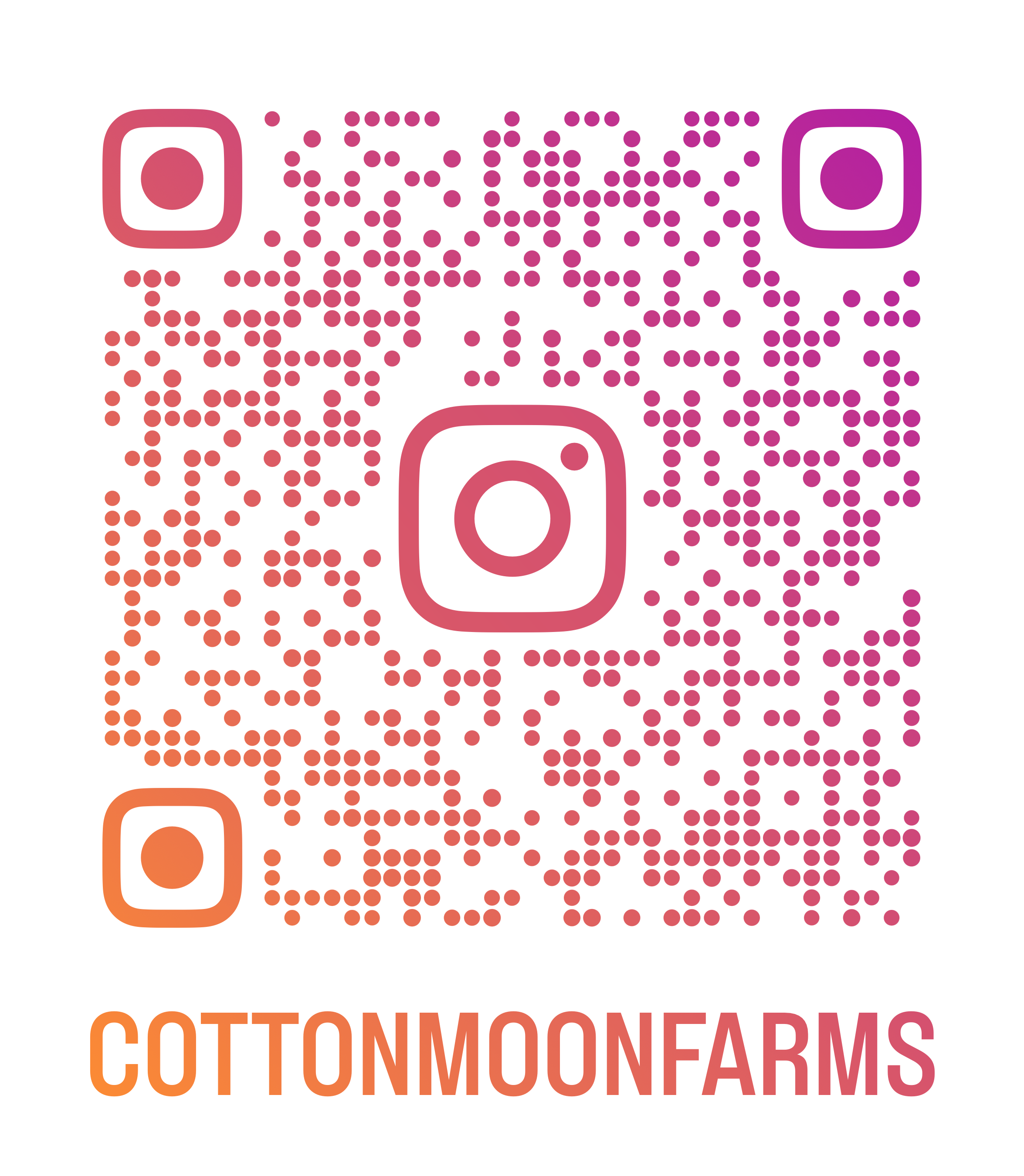 QR code with Instagram logo, and large text reading "COTTONMOONFARMS" in orange and pink gradient colors.