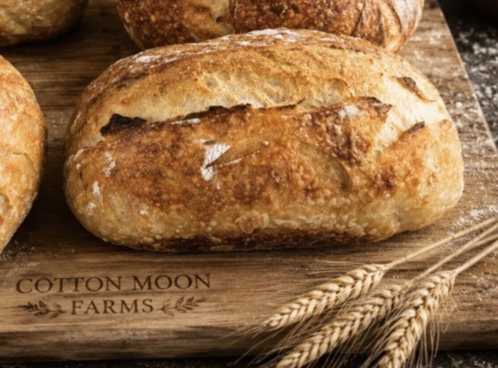 Screenshot 2026-08-03 at 8.29.50 PM.png (Copy)