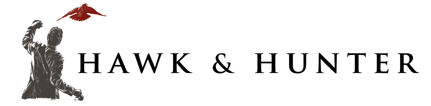 Logo with a black and white sketch of a person with a raised fist, a red mountain or volcano, and the words 'Hawk & Hunter'.