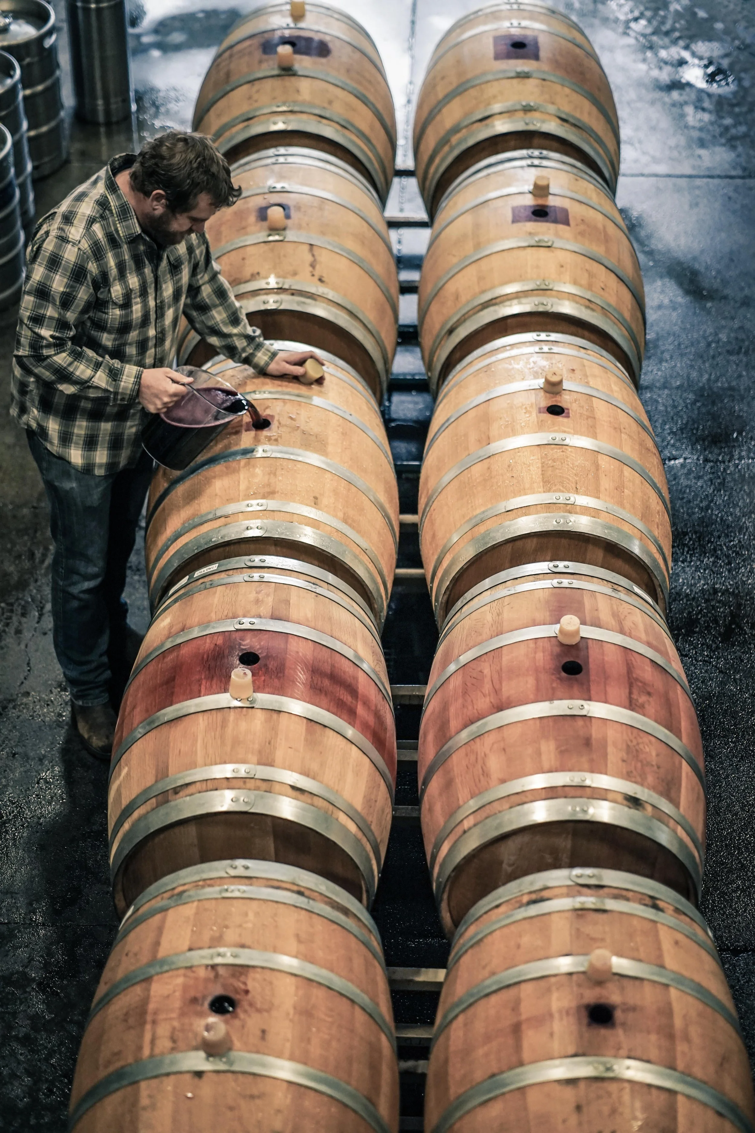 A man in plaid shirt pouring some liquid, likely wine, into a wooden wine barrel in a cellar or winery. There are four rows of barrels visible, with a wet, dark floor.