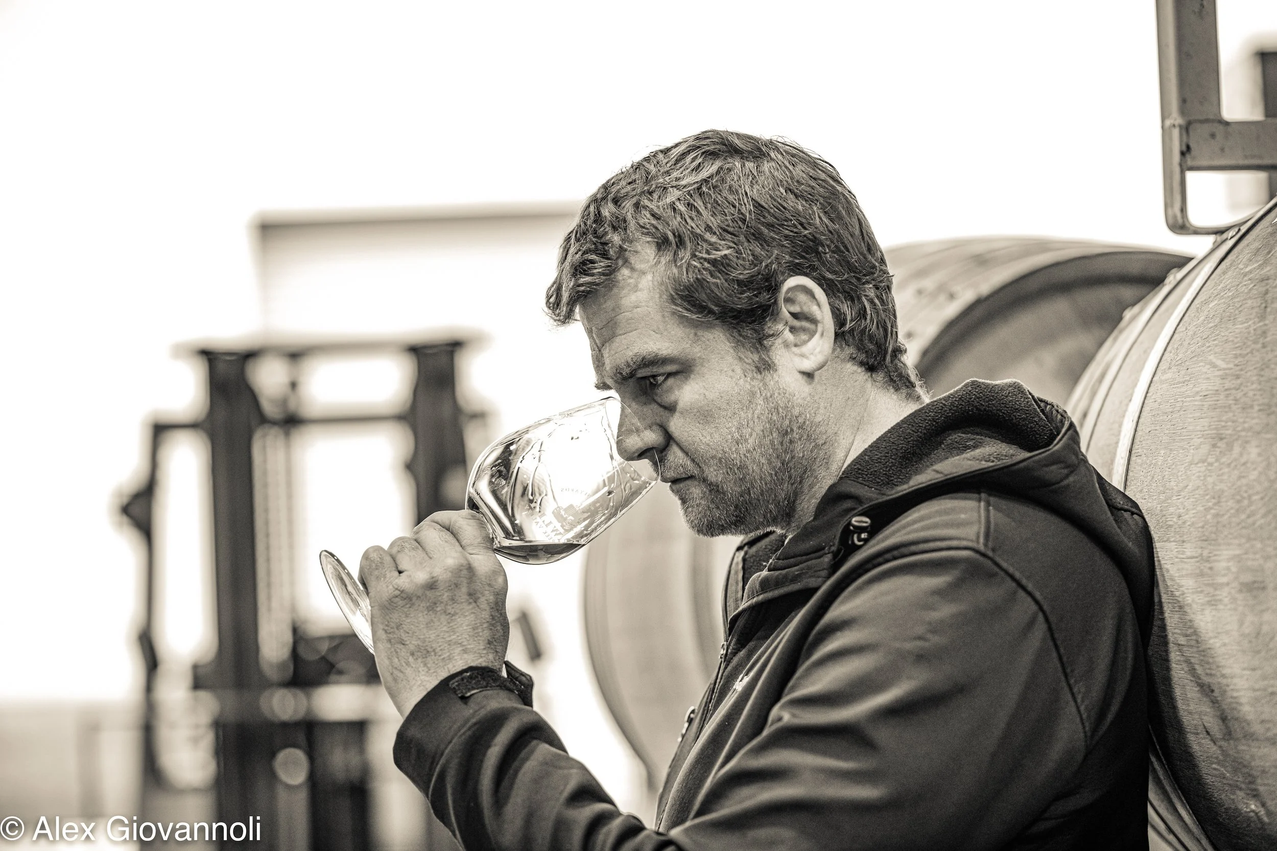 A man with brown hair and a beard, wearing a dark jacket, sitting on a bench, drinking from a large wine glass, with a blurred background of what appears to be an indoor public space.
