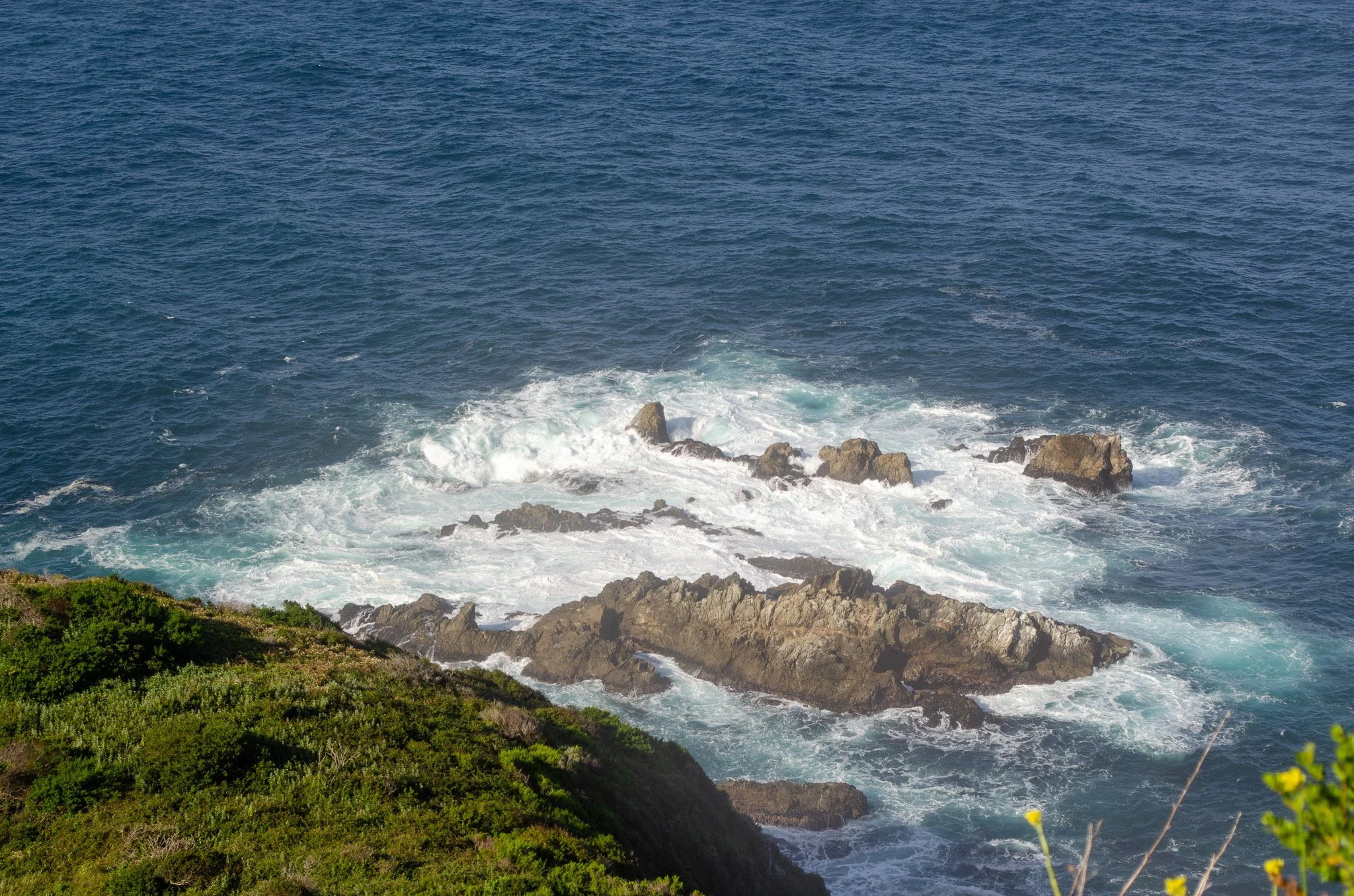 Pacific Ocean waves crashing against rocks along the coastline with green vegetation in the foreground.