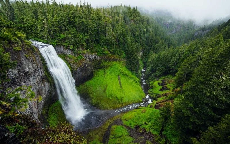 A scenic view of a lush green forest with a tall waterfall cascading into a river, surrounded by misty mountains.