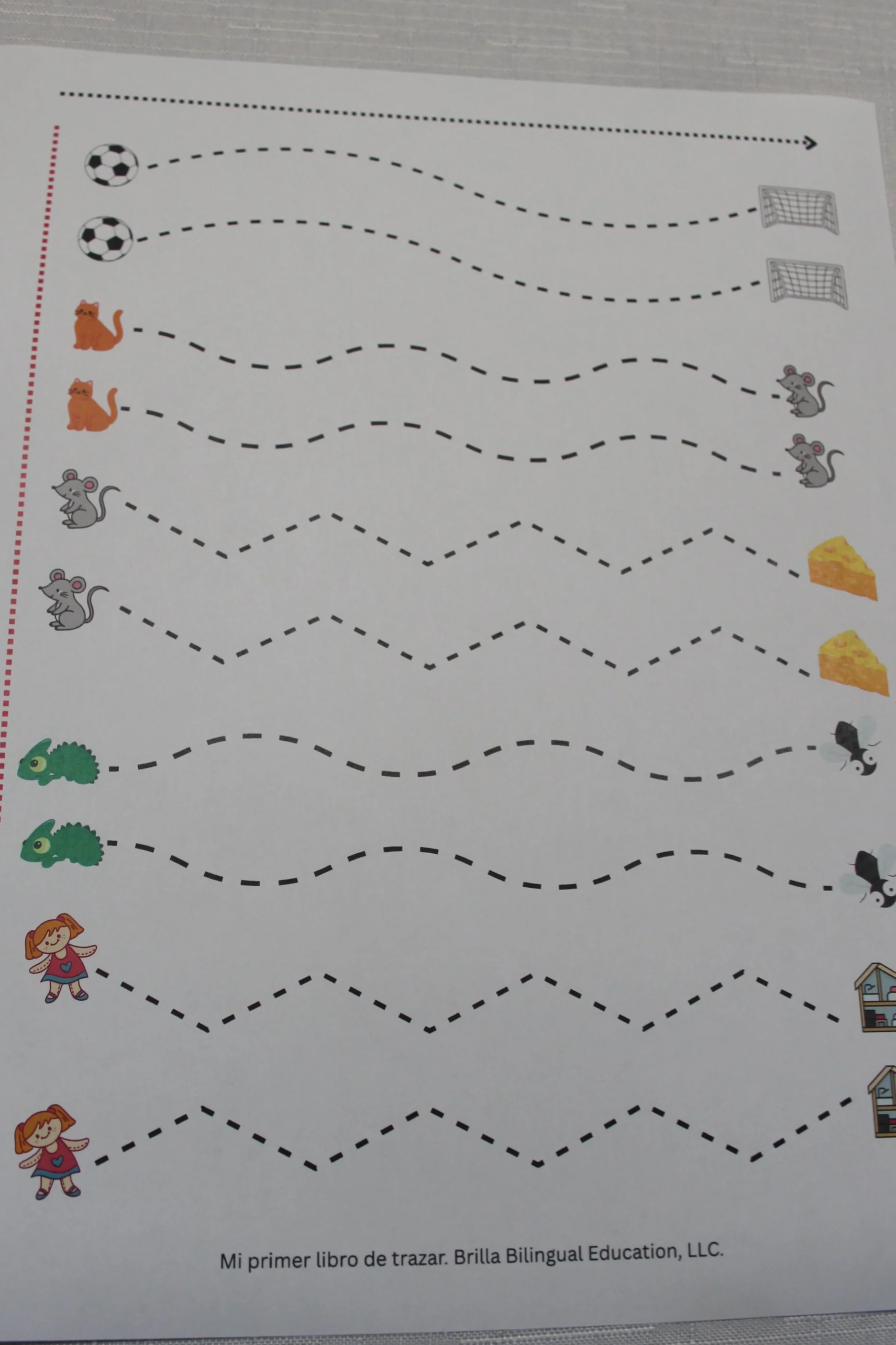 IMG_1642%5B1%5D.png