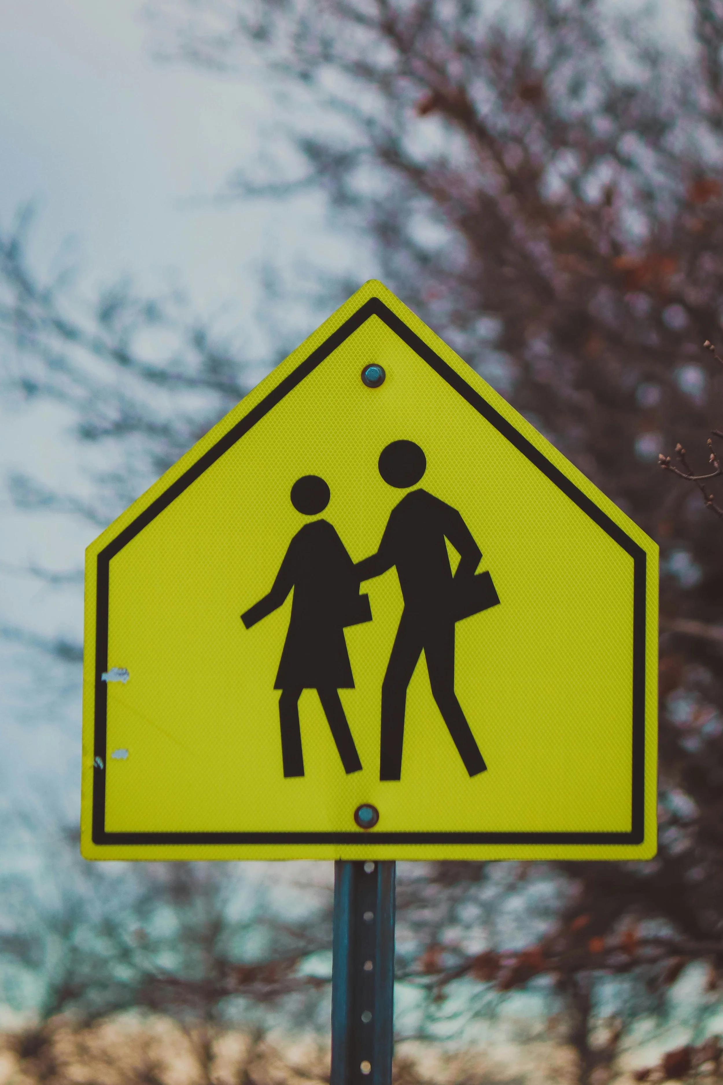Yellow pedestrian crossing sign with silhouette figures of a woman and a man walking and holding hands, in front of a blurred background of trees and sky.