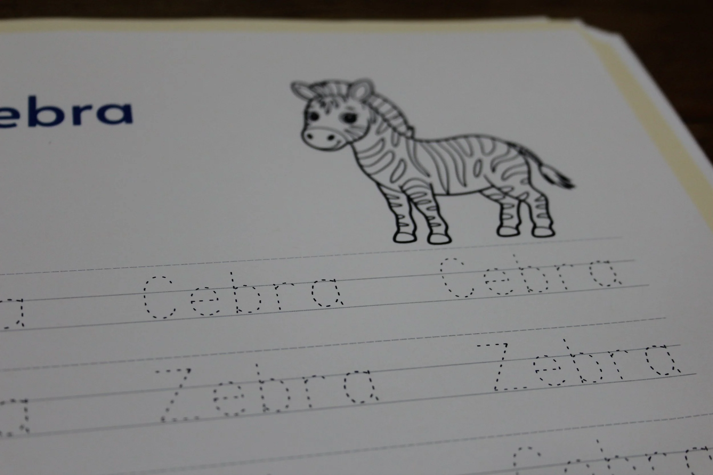 Tracing Animal Names / Trazar Nombres de Animales