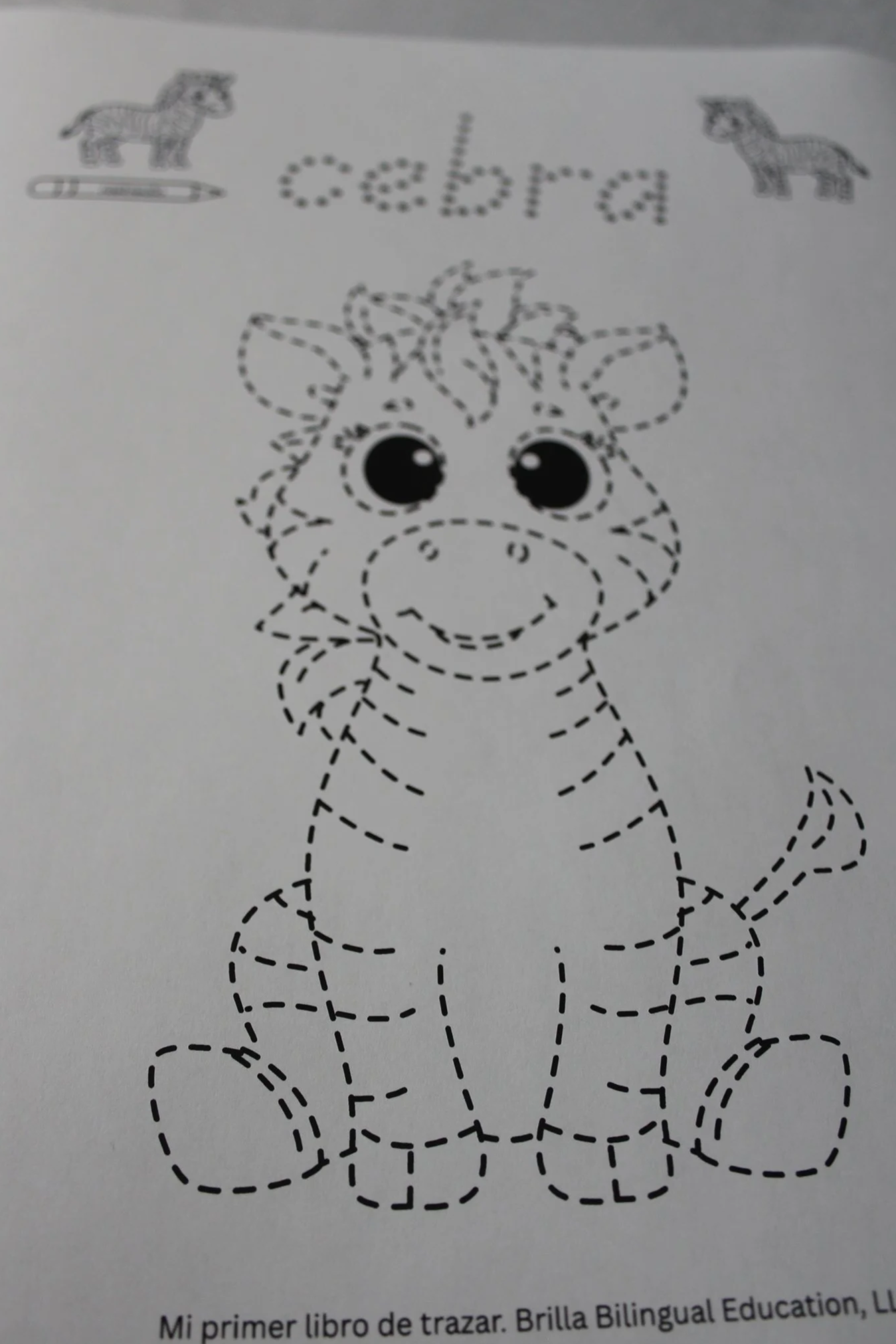 IMG_1658%5B1%5D.png