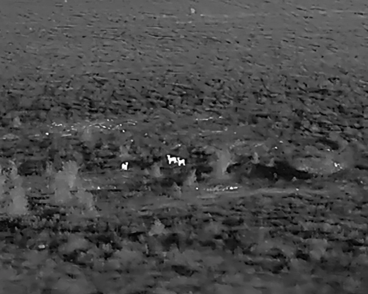 Black and white photo of rocky, uneven terrain with small patches of snow and scattered debris.
