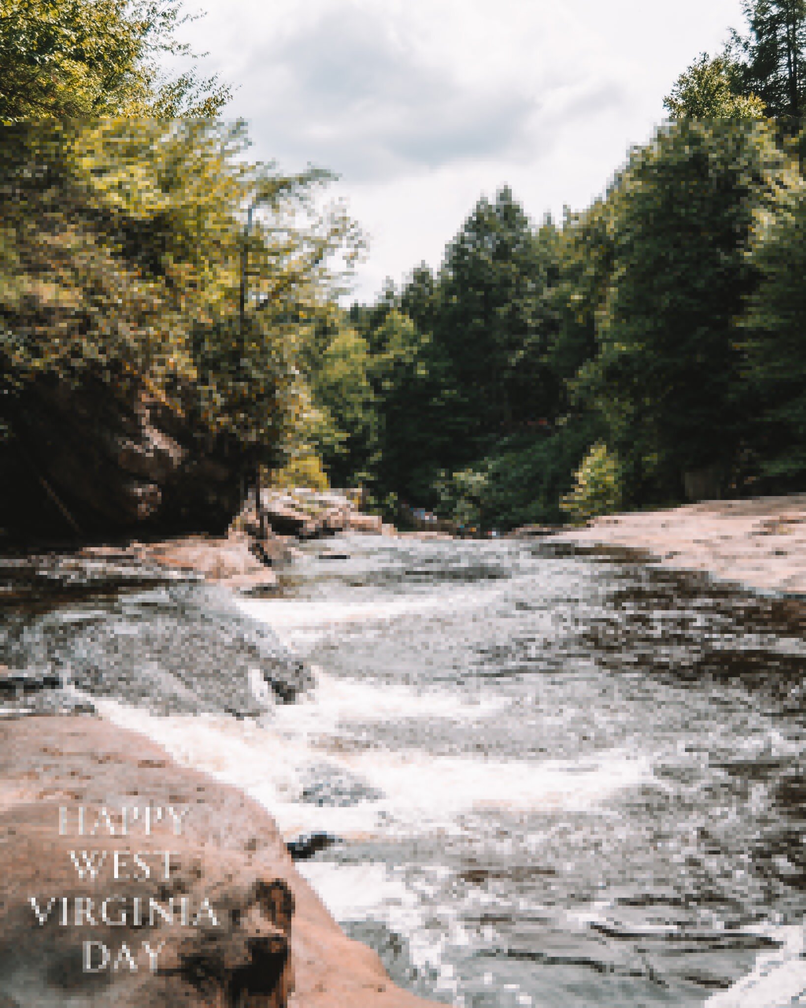 Celebrating our wild and wonderful state 💛💙 #wvday #westvirginiahair #morgantownwv