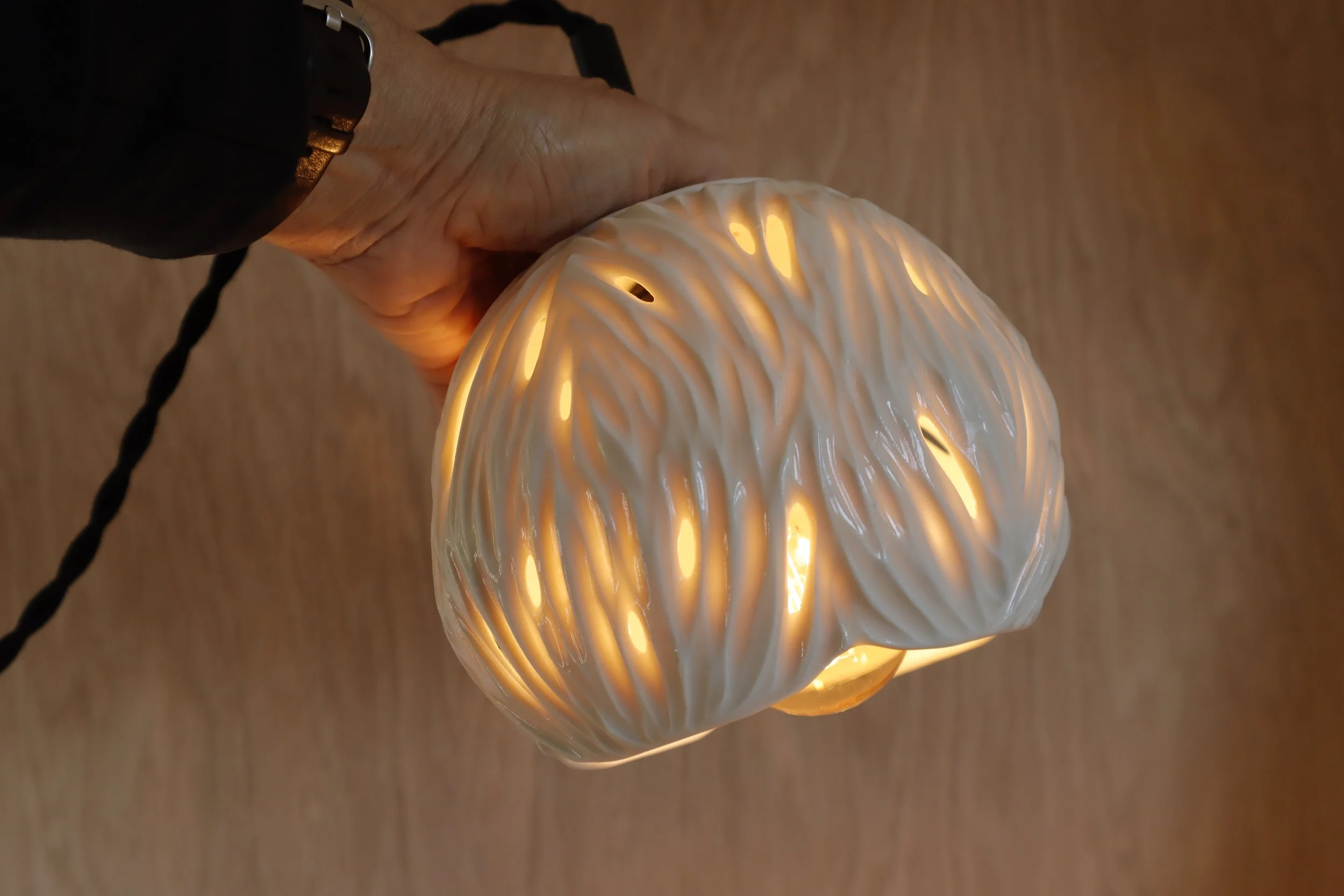 Hanging Pendant Lamp