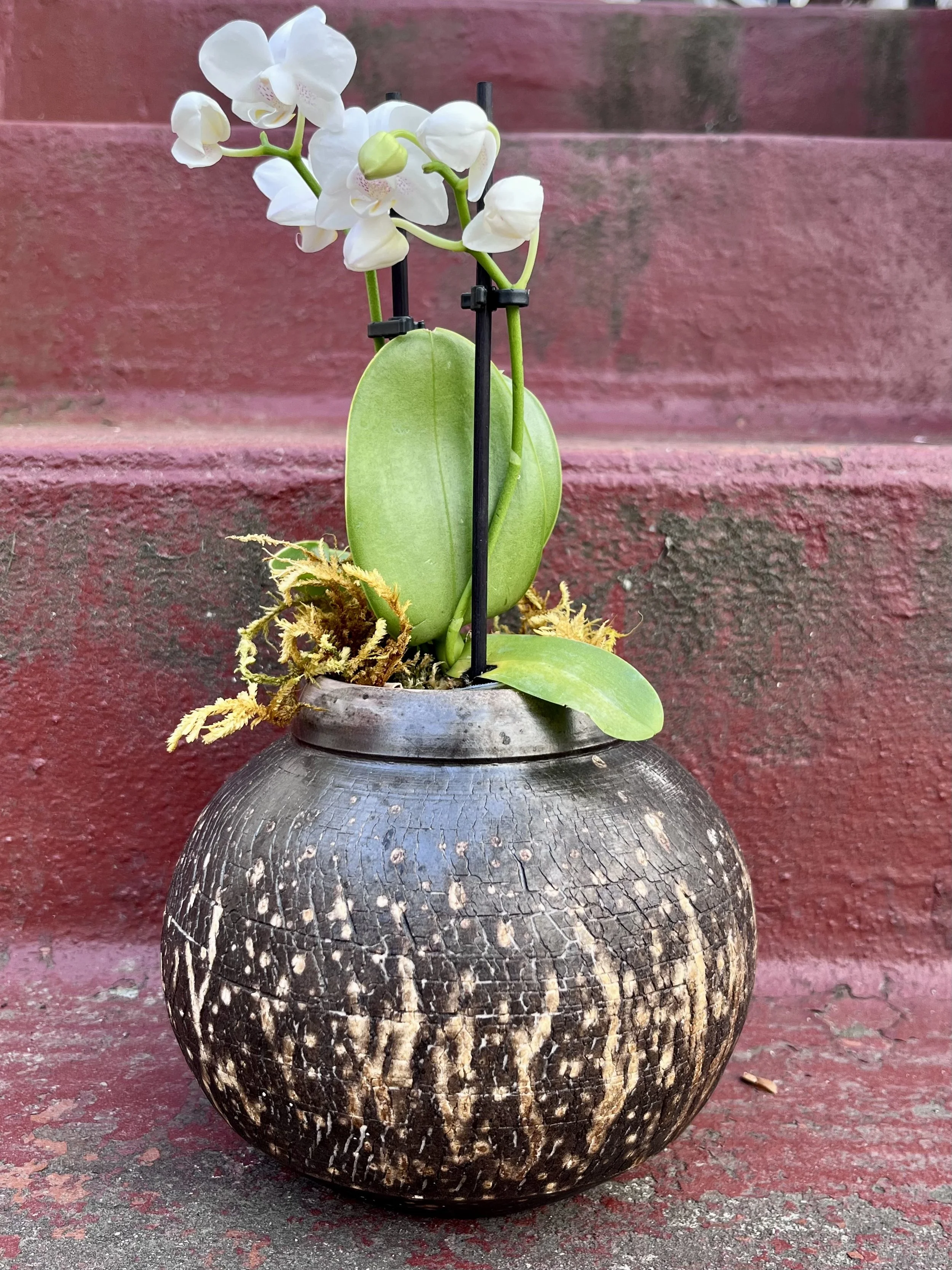 Obvara Fired Small Planter
