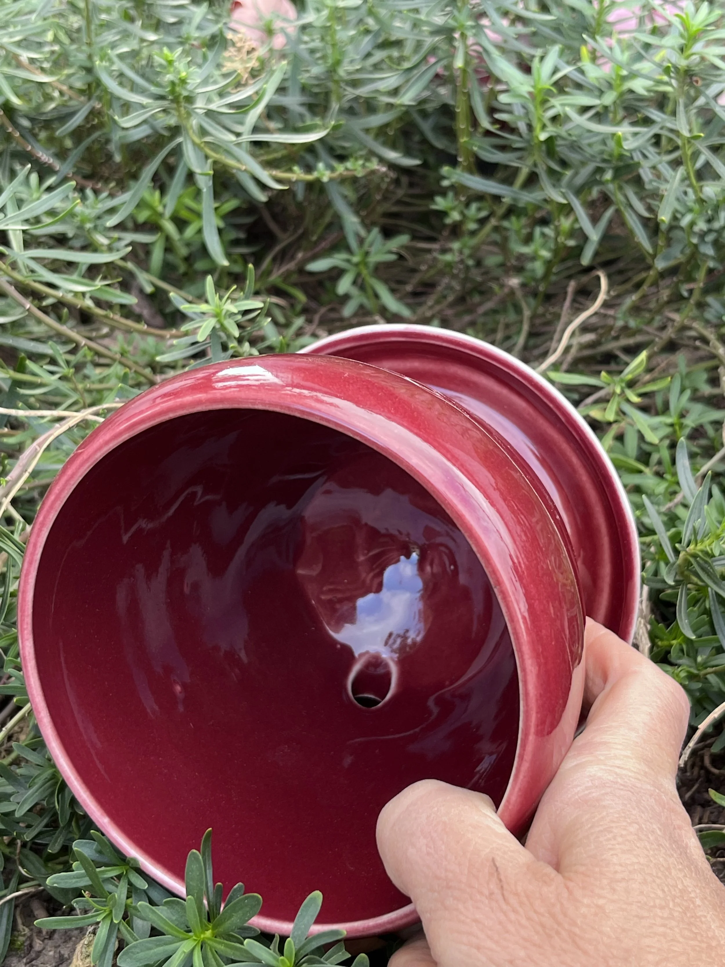 IMG_6790.jpeg