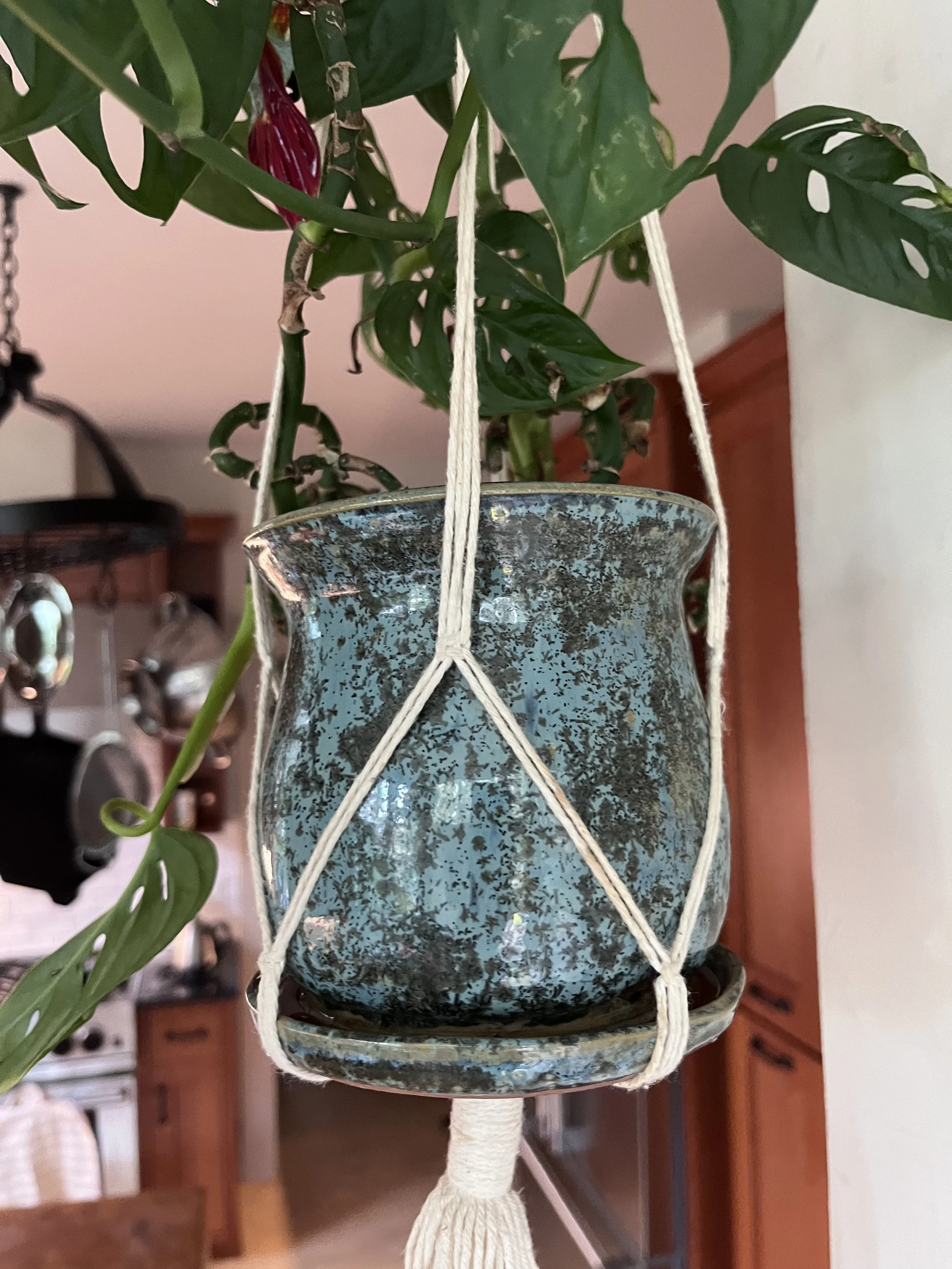 planter2.jpg