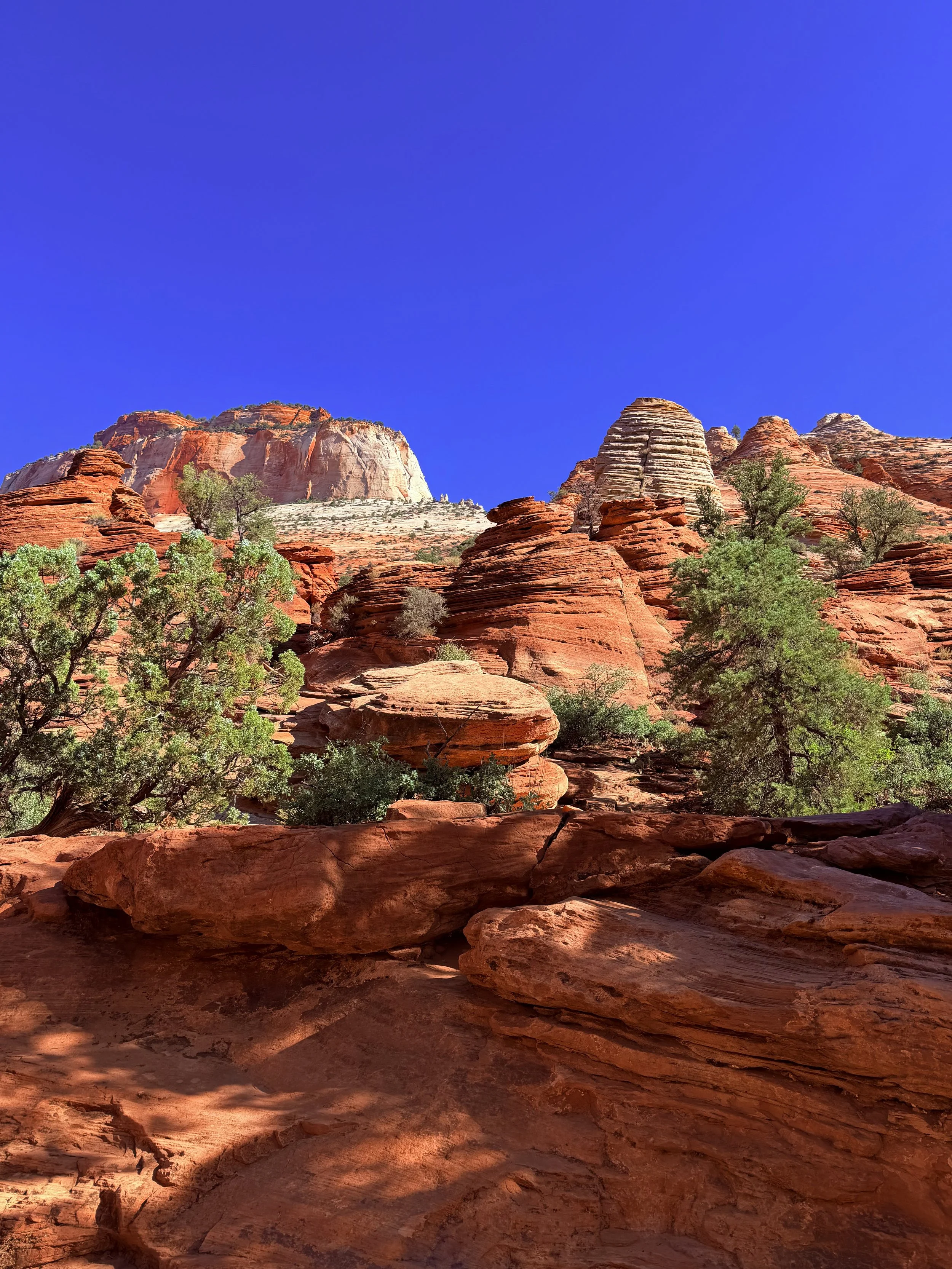 Red rock formations with green trees under a clear blue sky.