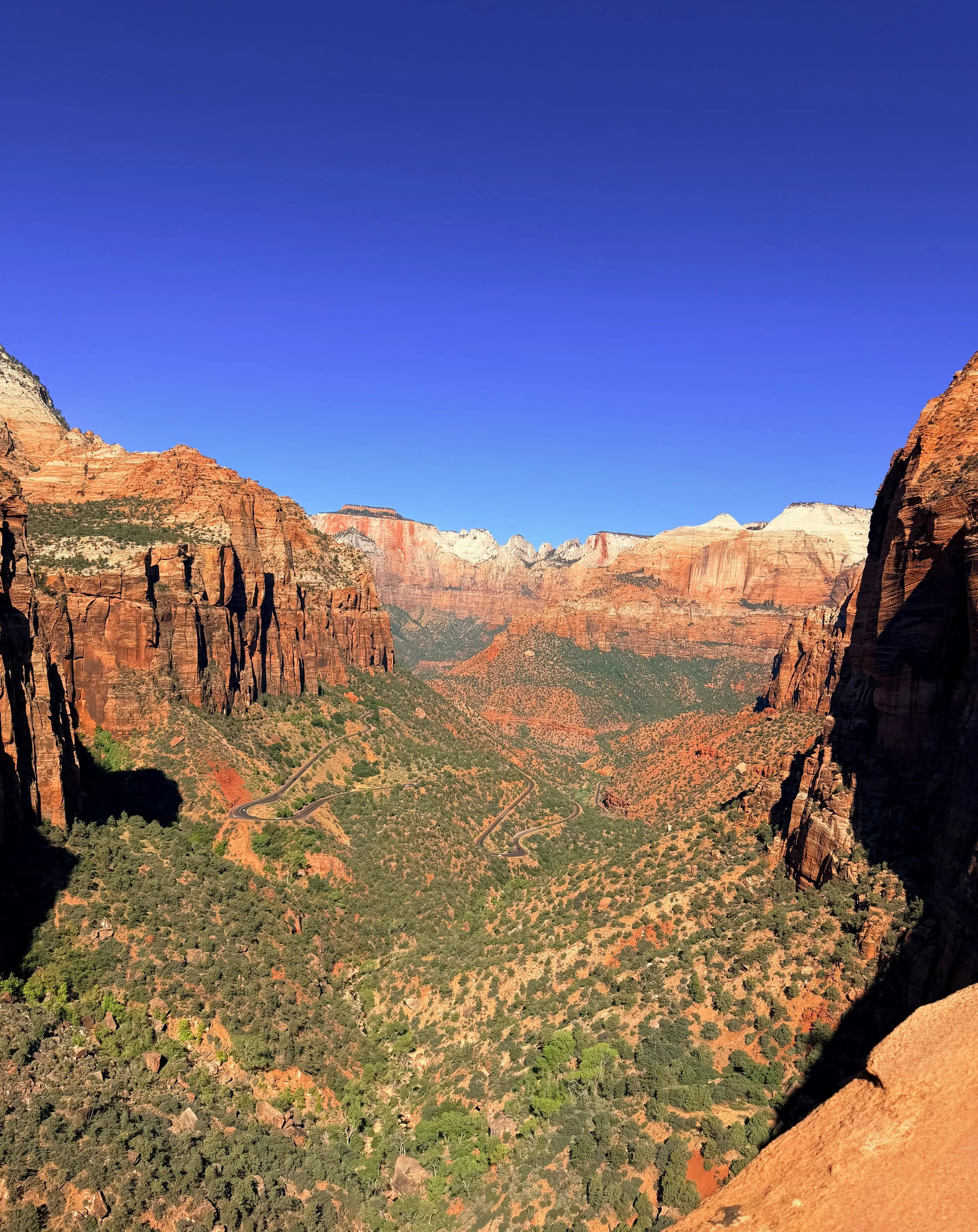View of the Grand Canyon with red rock formations under a clear blue sky, with a winding road visible at the bottom.