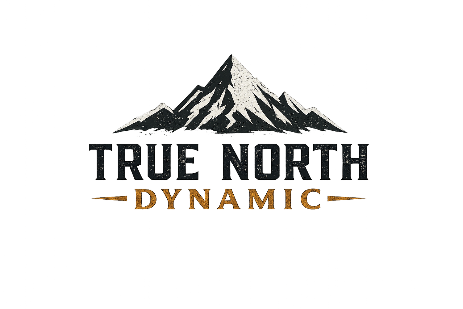 True North Dynamic LLC.