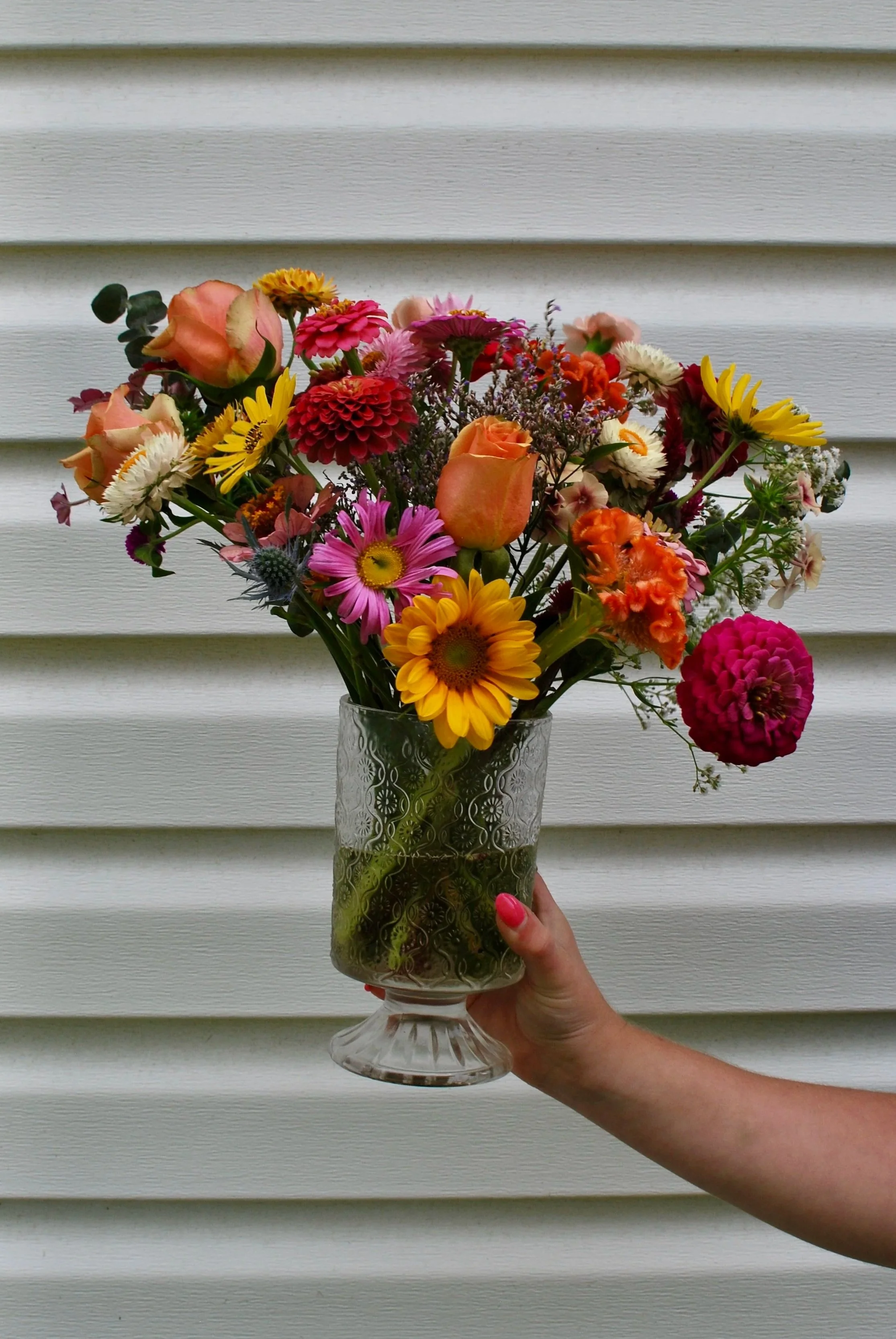 Bright & Colorful