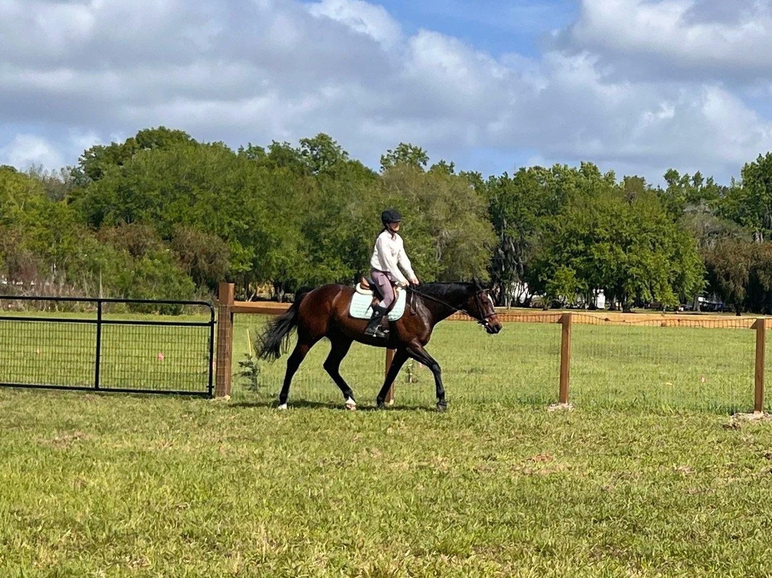 A person riding a horse on a grassy field with a fence, trees, and blue sky with clouds in the background.