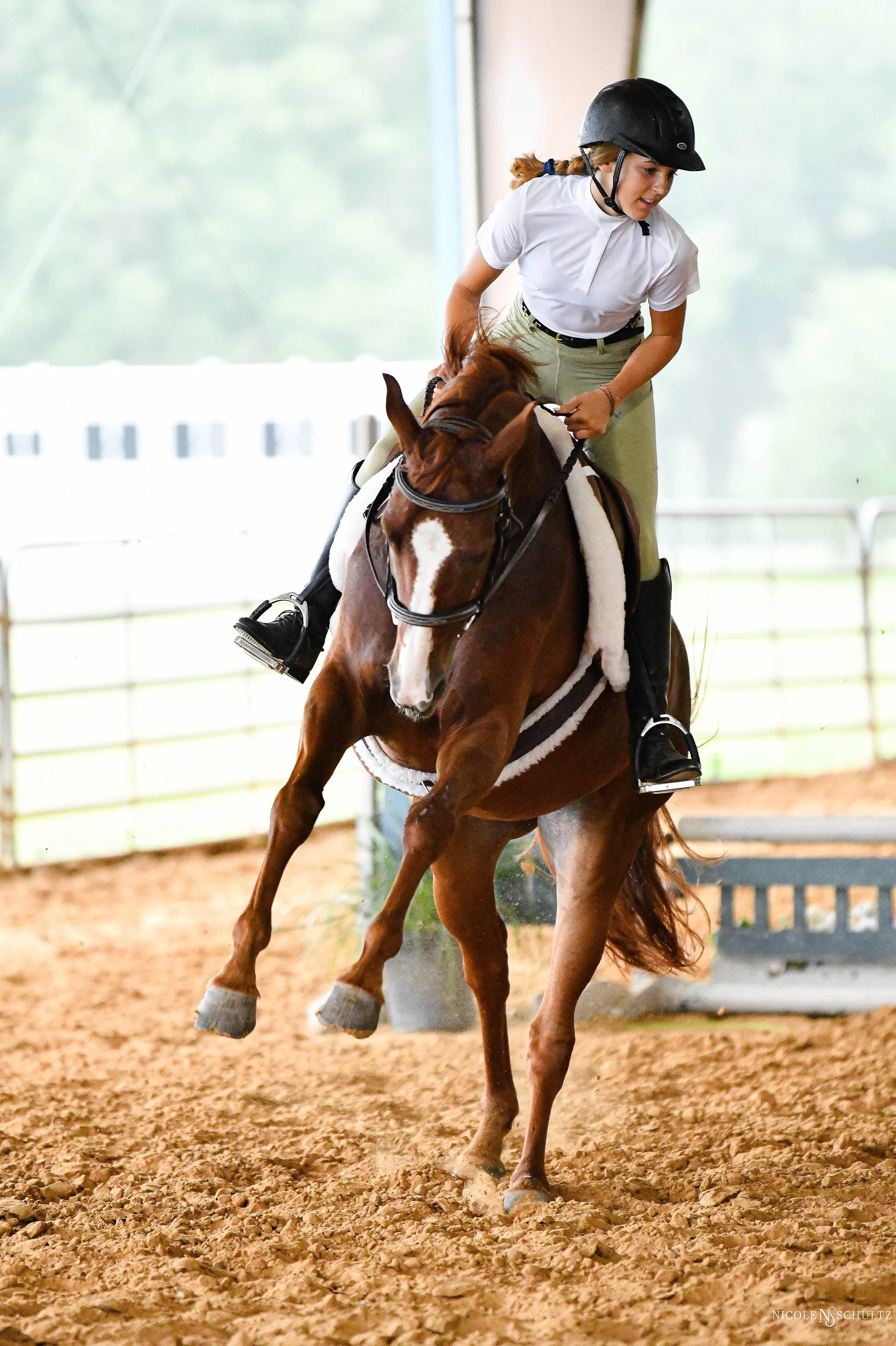 A young woman wearing a black helmet and white riding shirt is riding a galloping chestnut horse inside an arena with a sandy surface. The woman is leaning forward and holding the reins tightly while the horse is jumping.