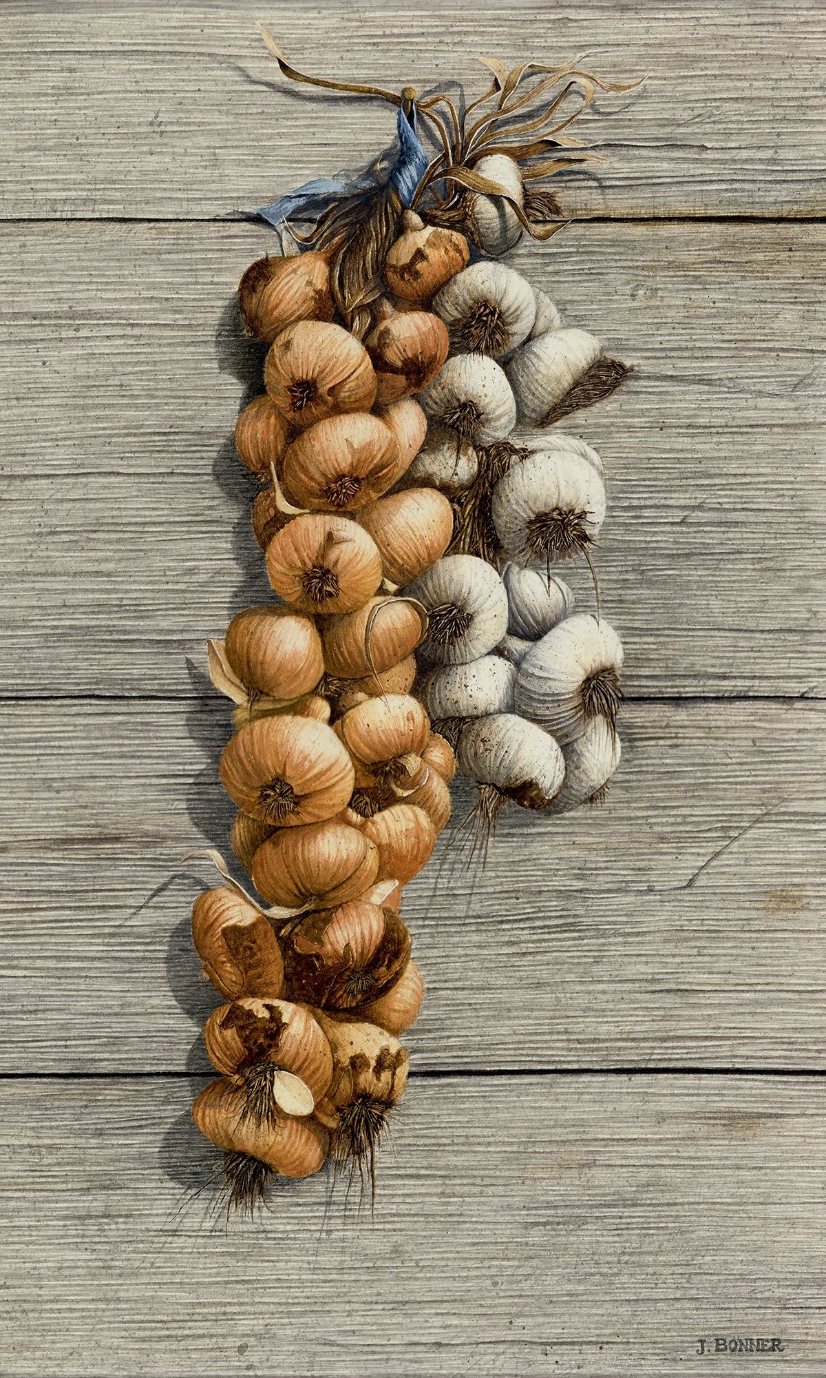 Dried Onions (dry brush watercolor on paper) SOLD