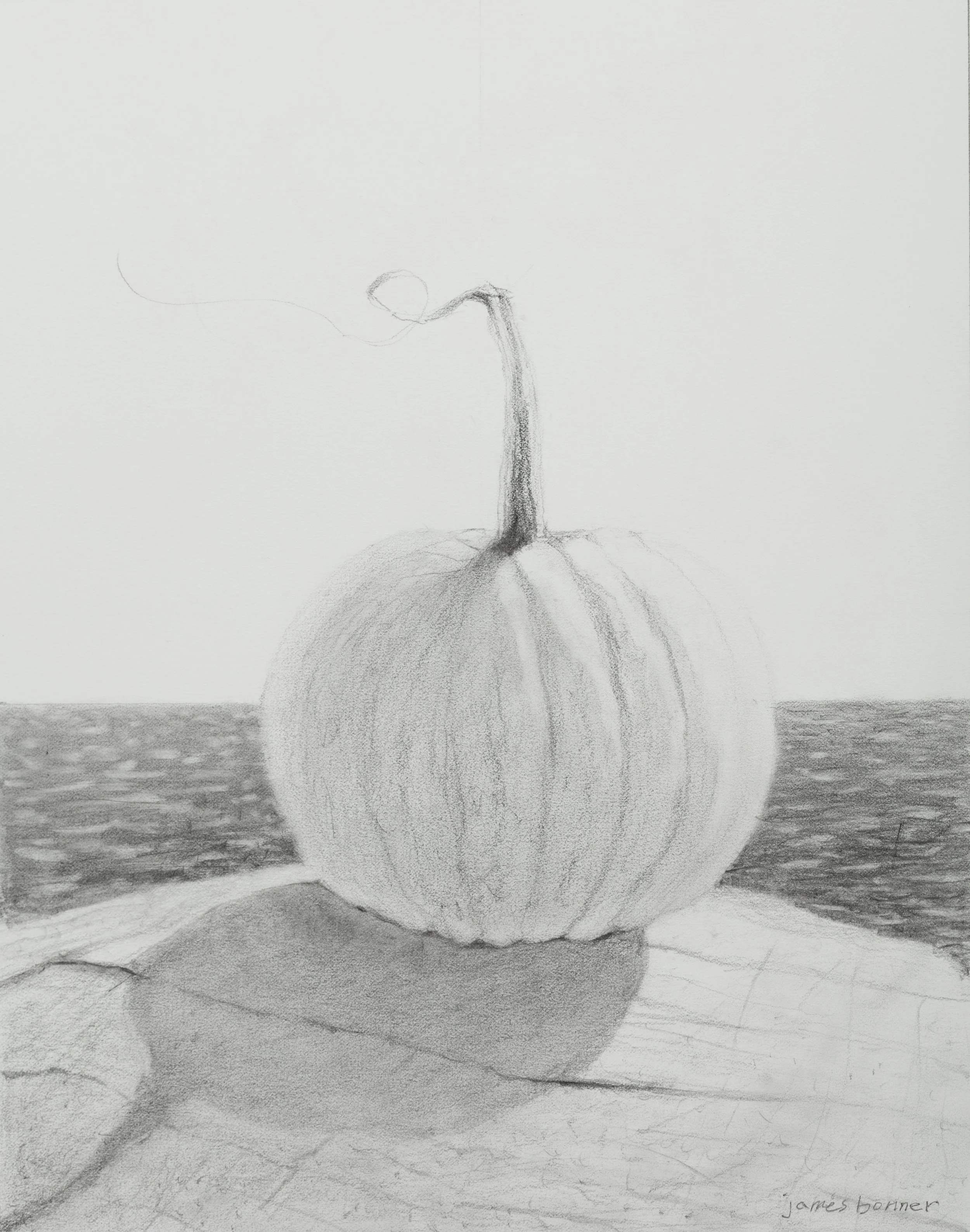 White Pumpkin Study, 2022 (graphite on paper)  11 x 14 unframed