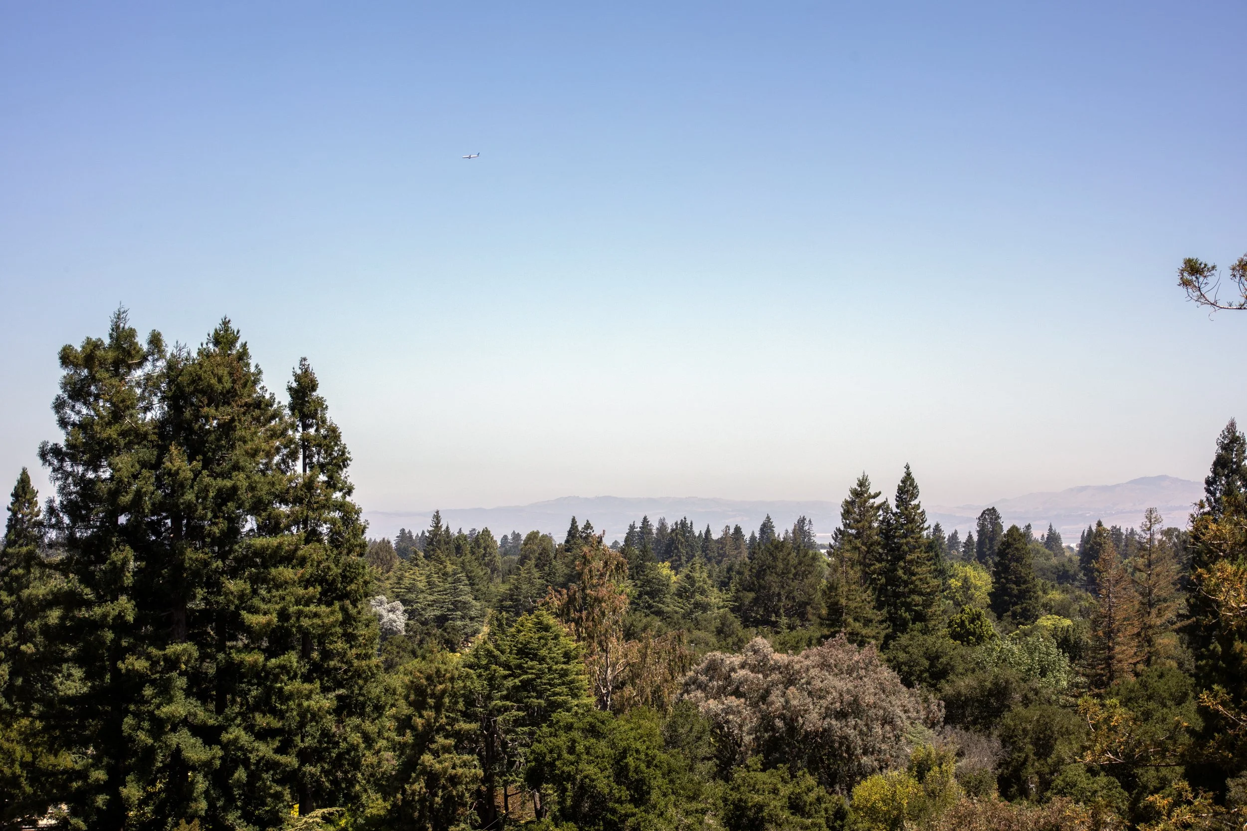 21-Alma_Matt_Anello-0241-MLS.jpg