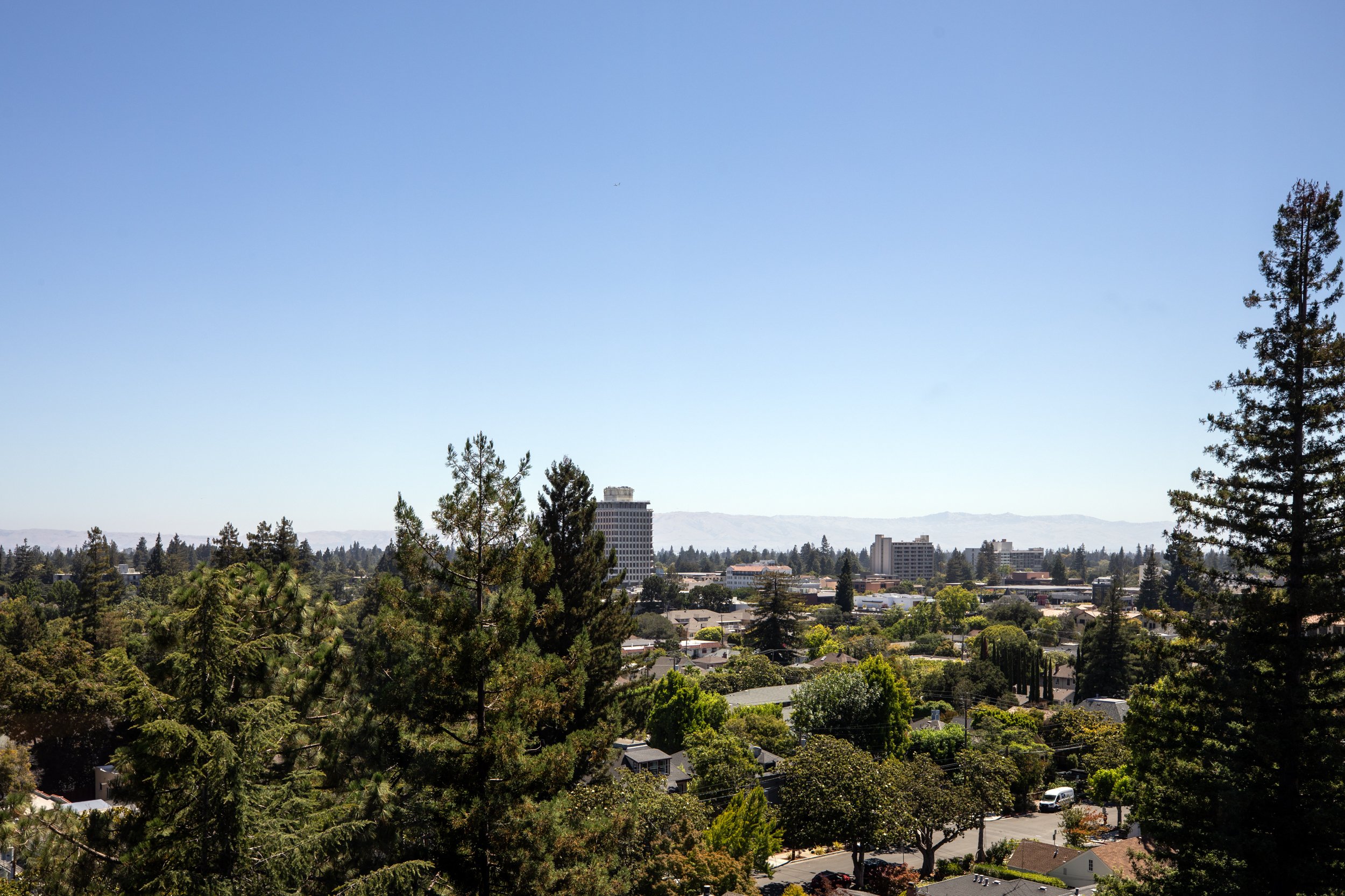 7-Alma_Matt_Anello-0207-MLS.jpg