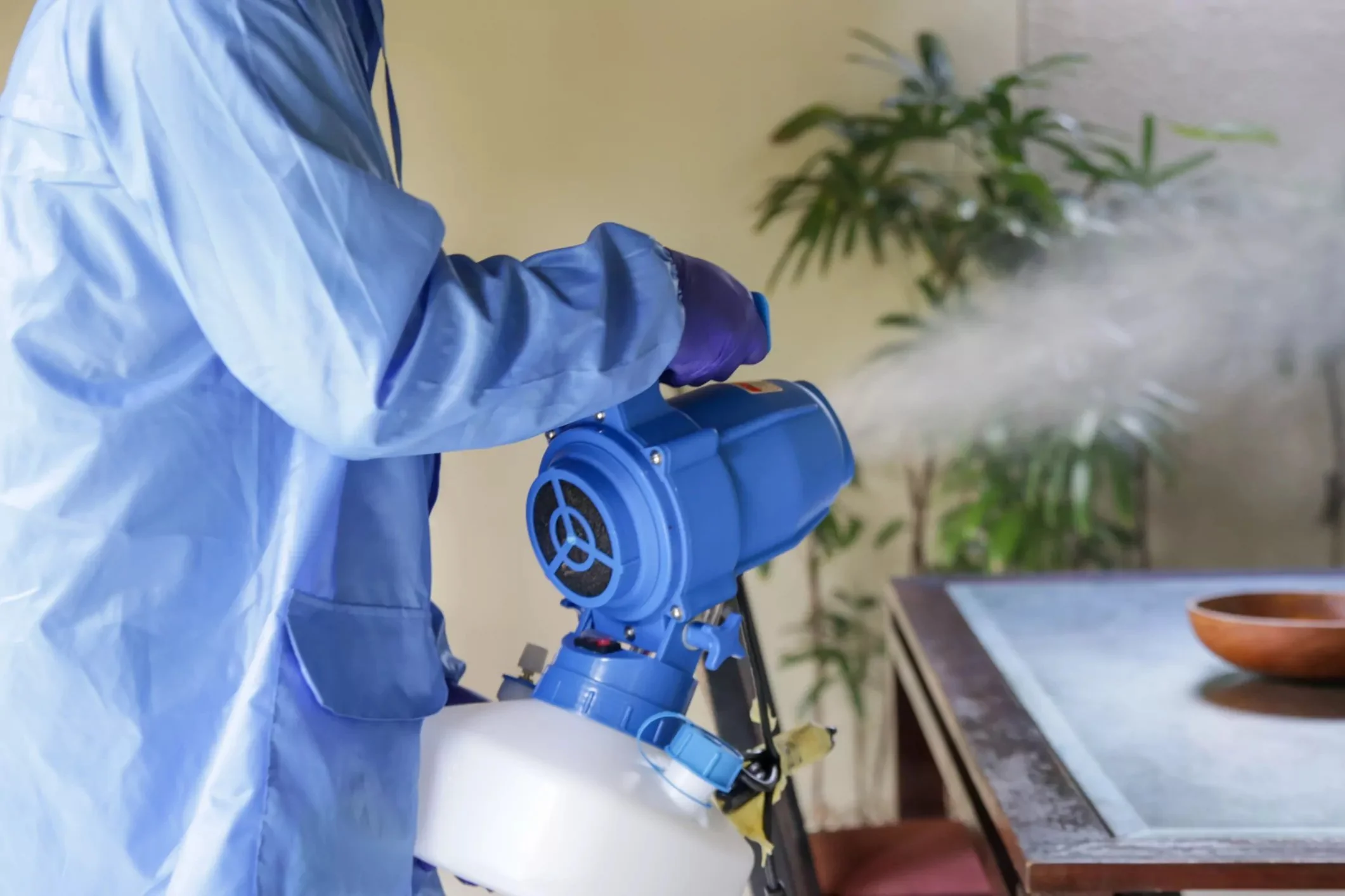 A person wearing blue medical gown and gloves holding a portable blue device, with green plants and a monitor in the background.
