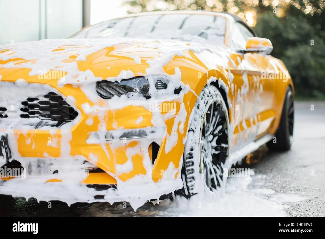 Exterior Detailing