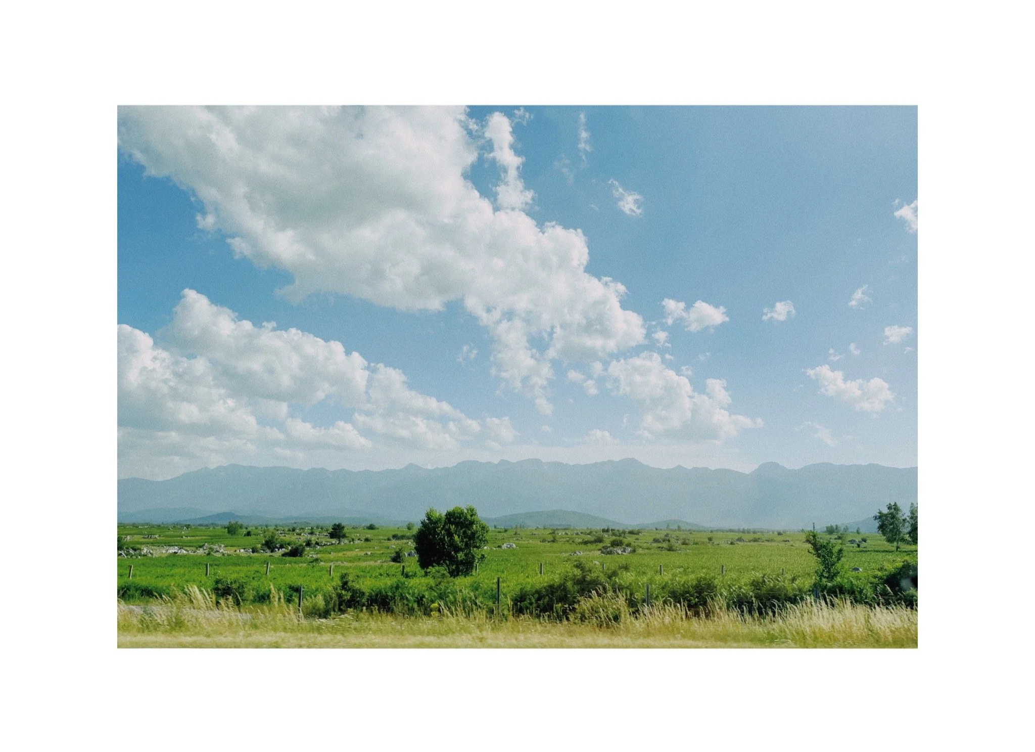 IMG_8244.png