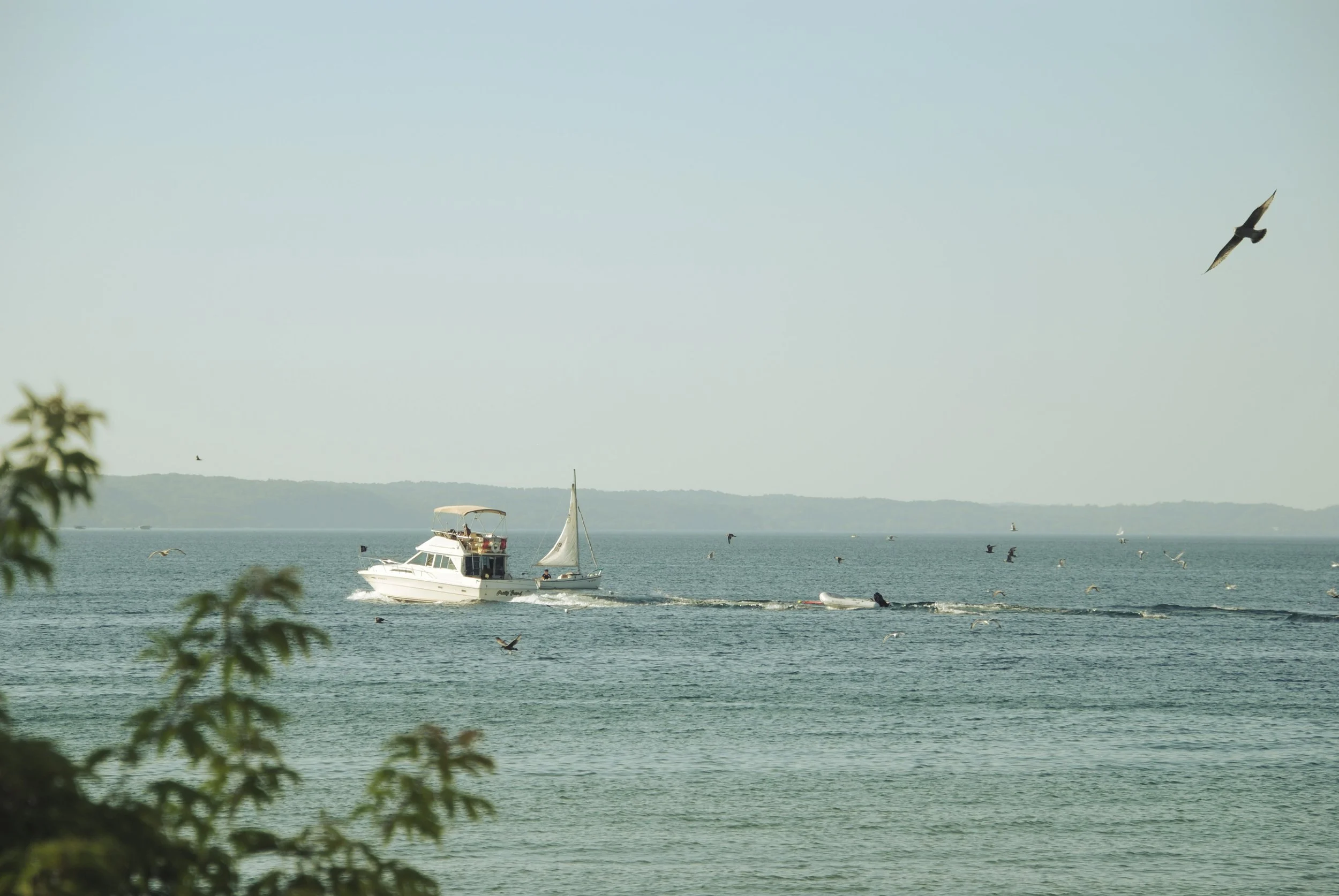 DSC_1061.jpg