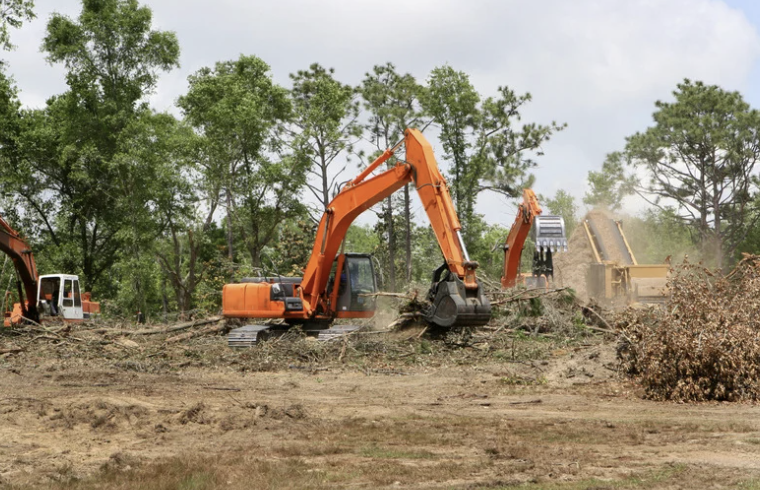 Excavators clearing trees and debris from a construction site with trees in the background.