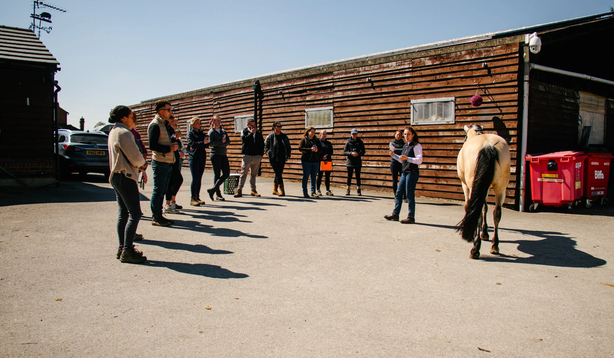 A group of people stands outdoors in a line, facing a woman with a horse. The scene takes place near a wooden building with 2 windows, under a clear blue sky. There are parked cars and a red waste bin nearby.