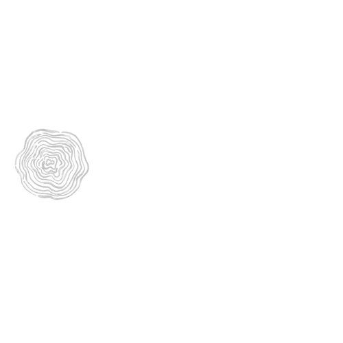 Laura Brooks Art (Copy)