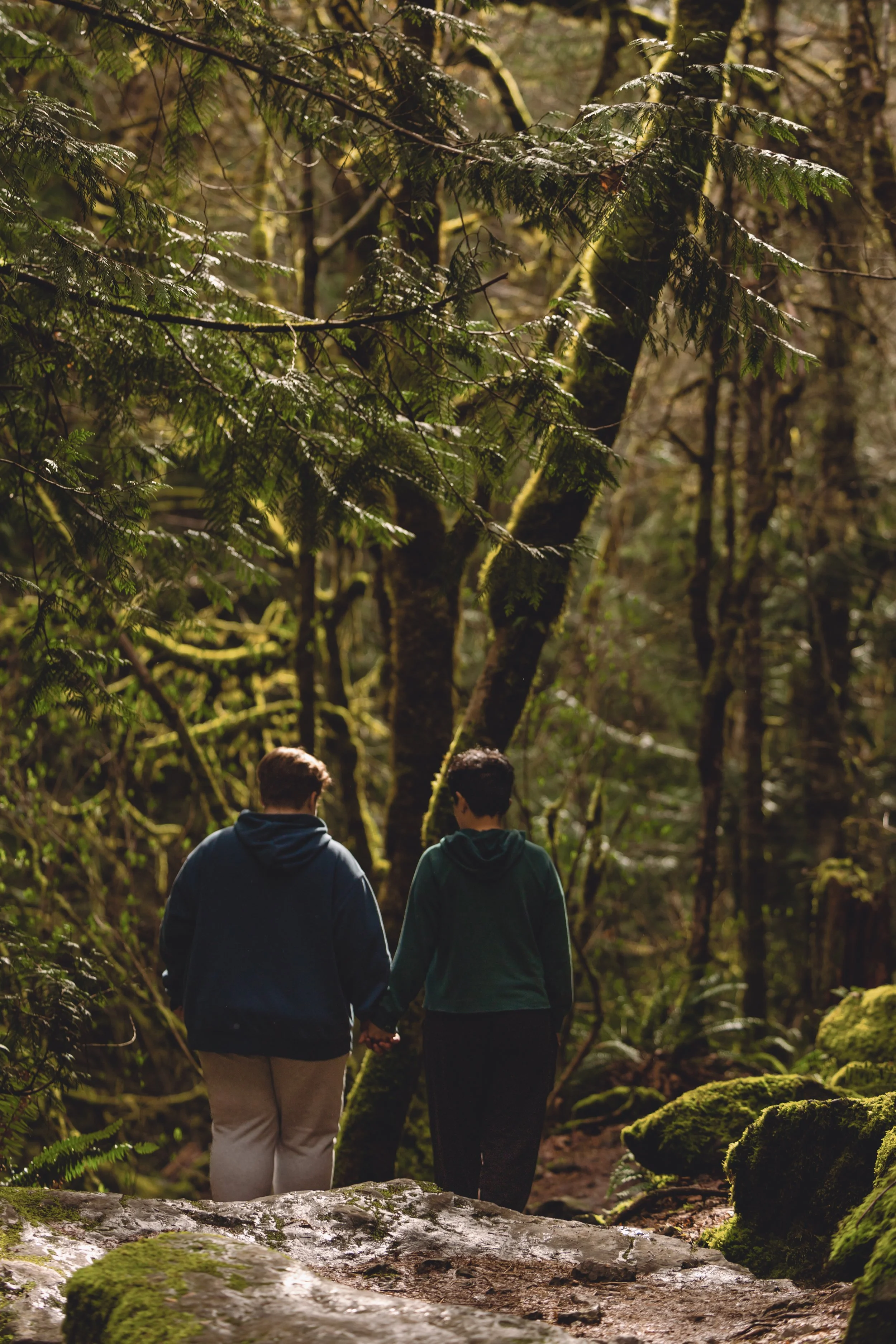 Laura-Brooks-Art-Outdoor-Family-Photography-Bremerton.jpg