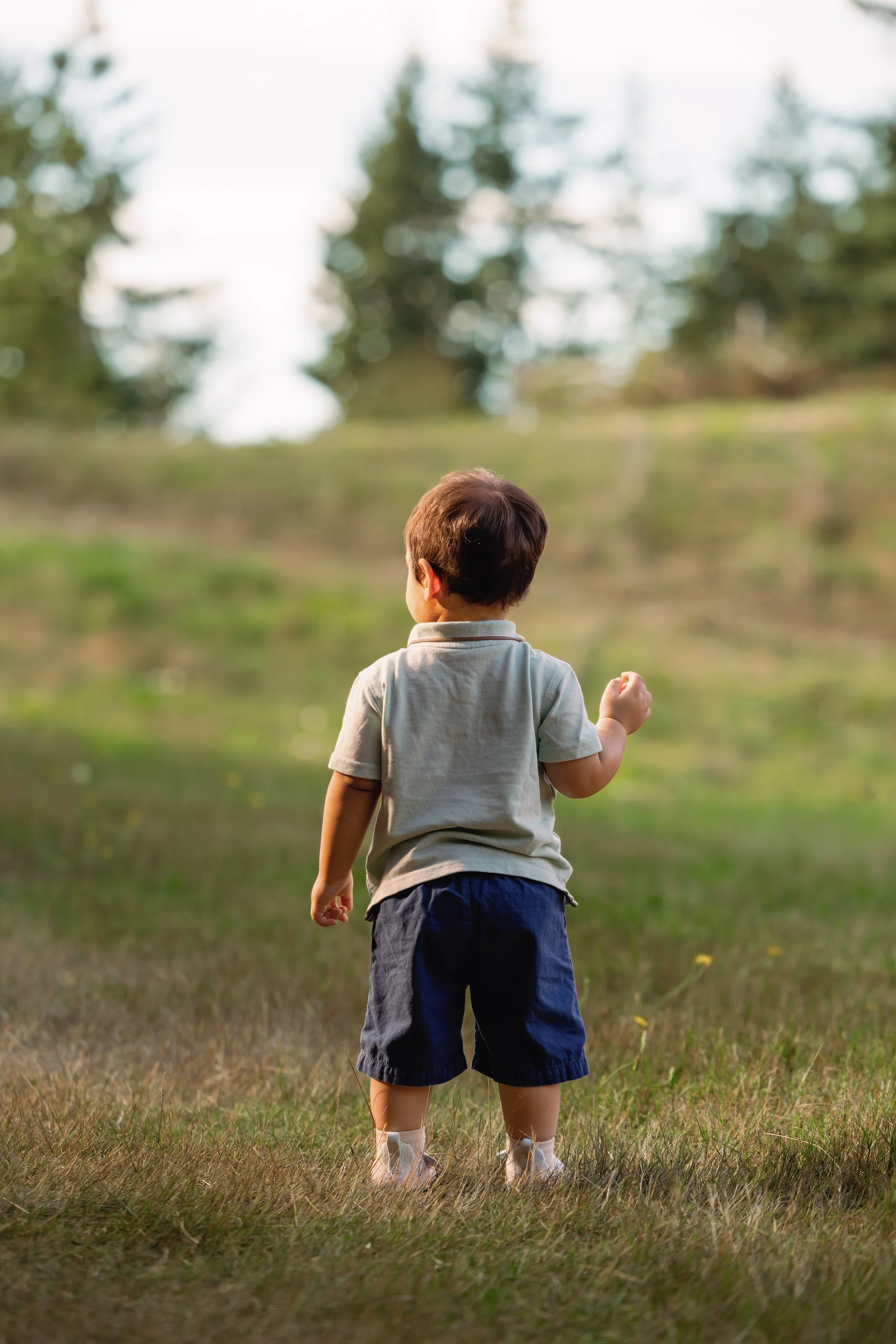 Laura-Brooks-Art-Outdoor-Family-Portraits-Seattle.jpg