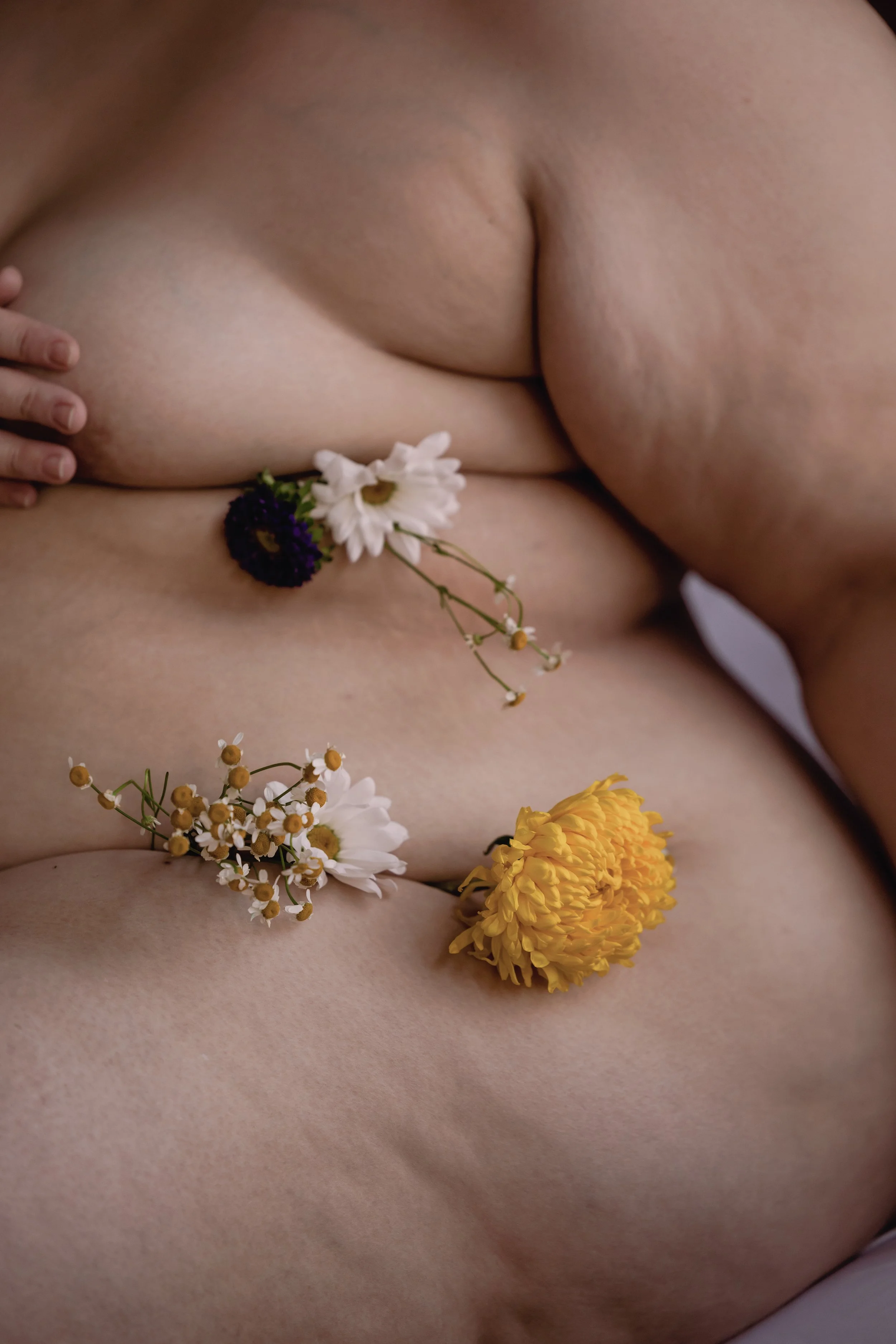 Flowers and Rolls