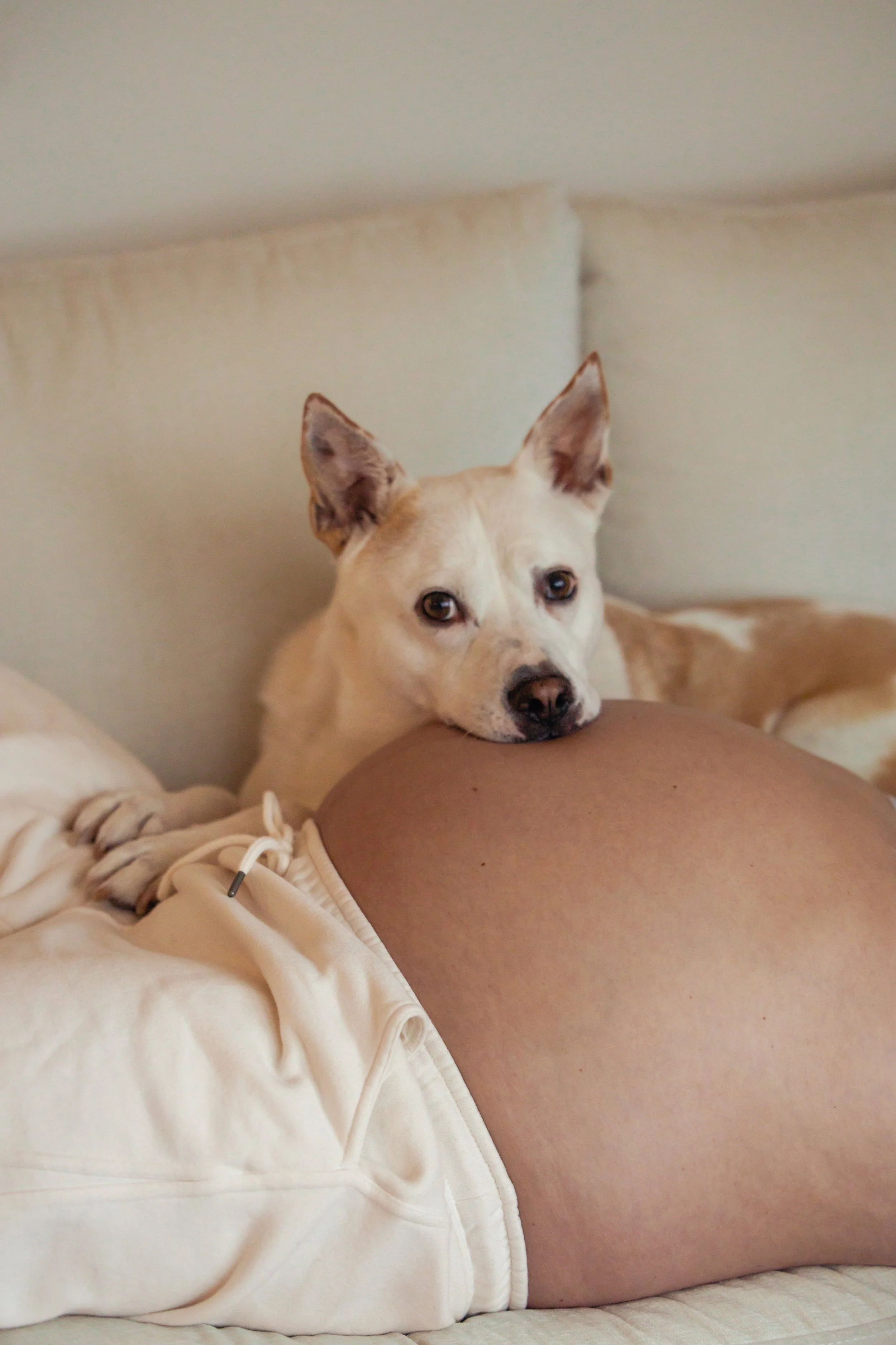 In-Home Maternity Photography in Seattle