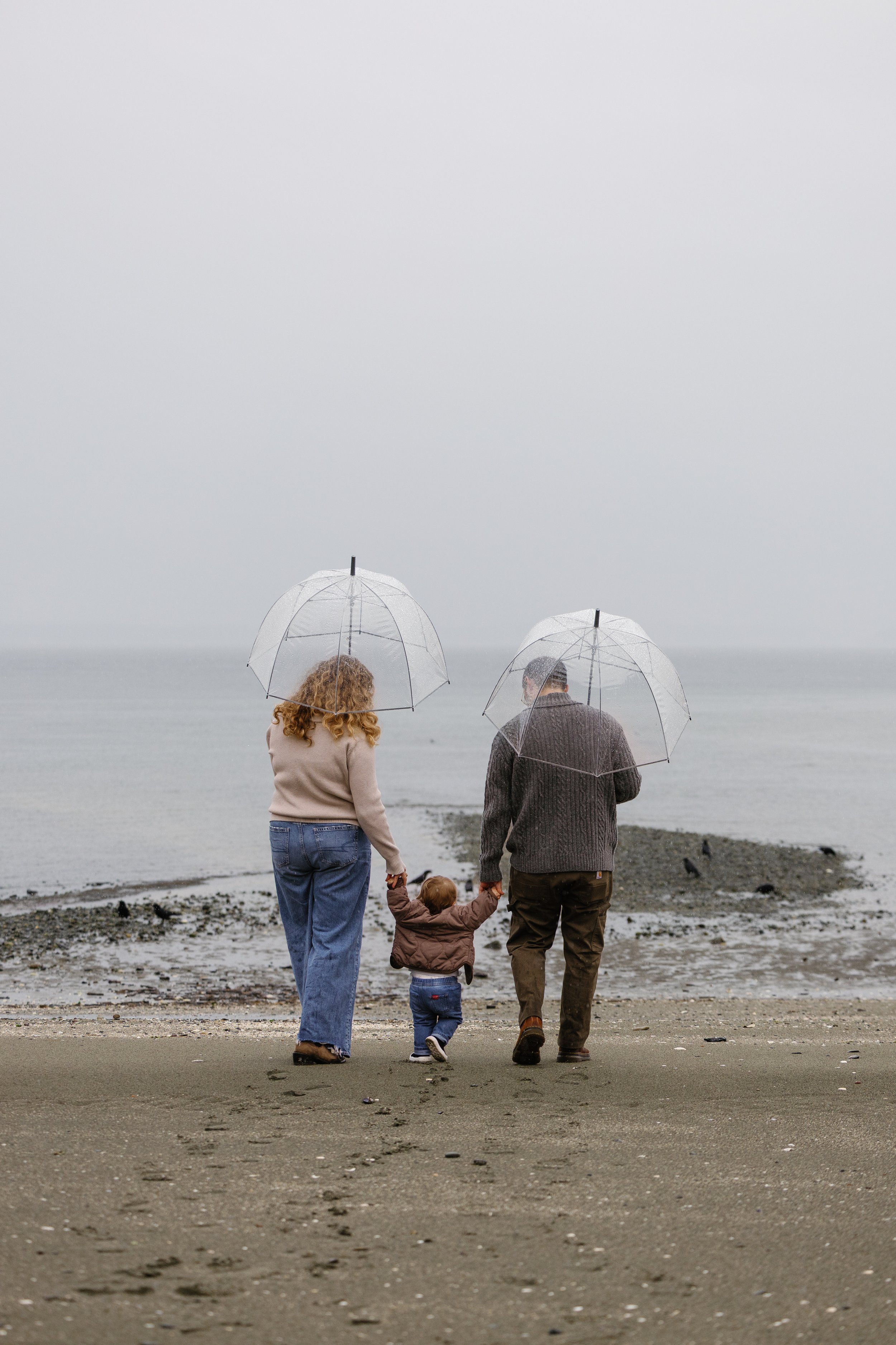Laura-Brooks-Art-Outdoor-Family-Portraits-Seattle.jpg